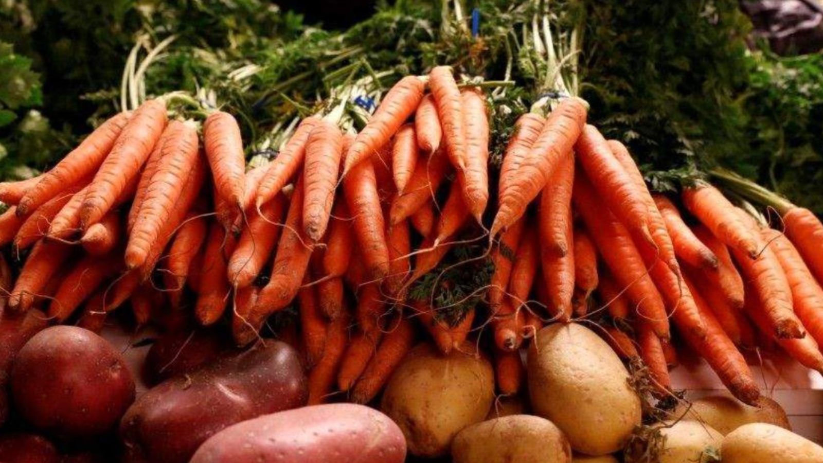 Минсельхозпрод РТ сообщает о возможности предоставления субсидий для самозанятых ЛПХ