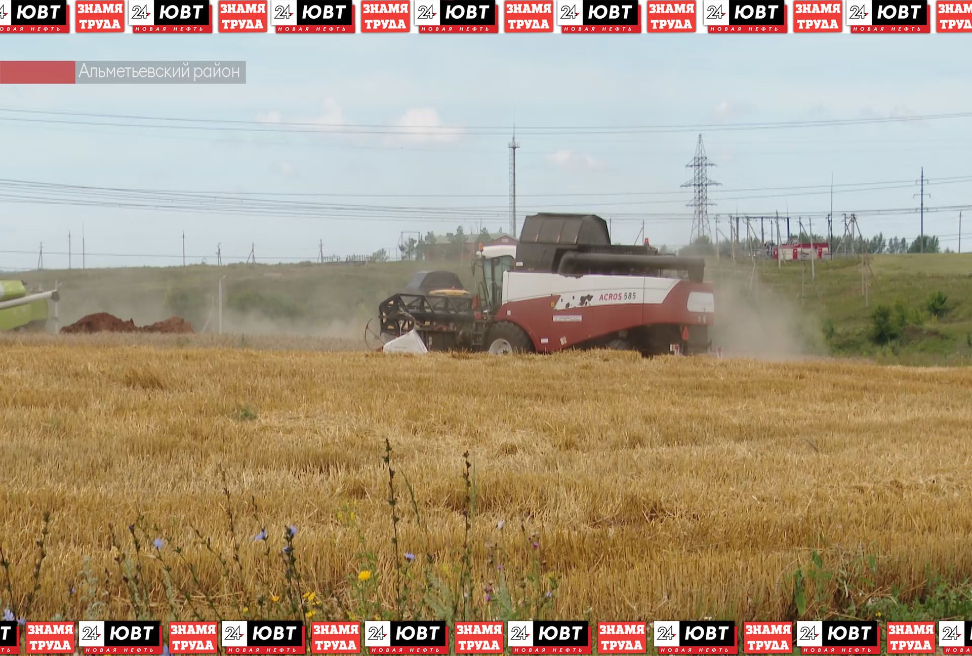 В Альметьевском районе завершается уборка урожая