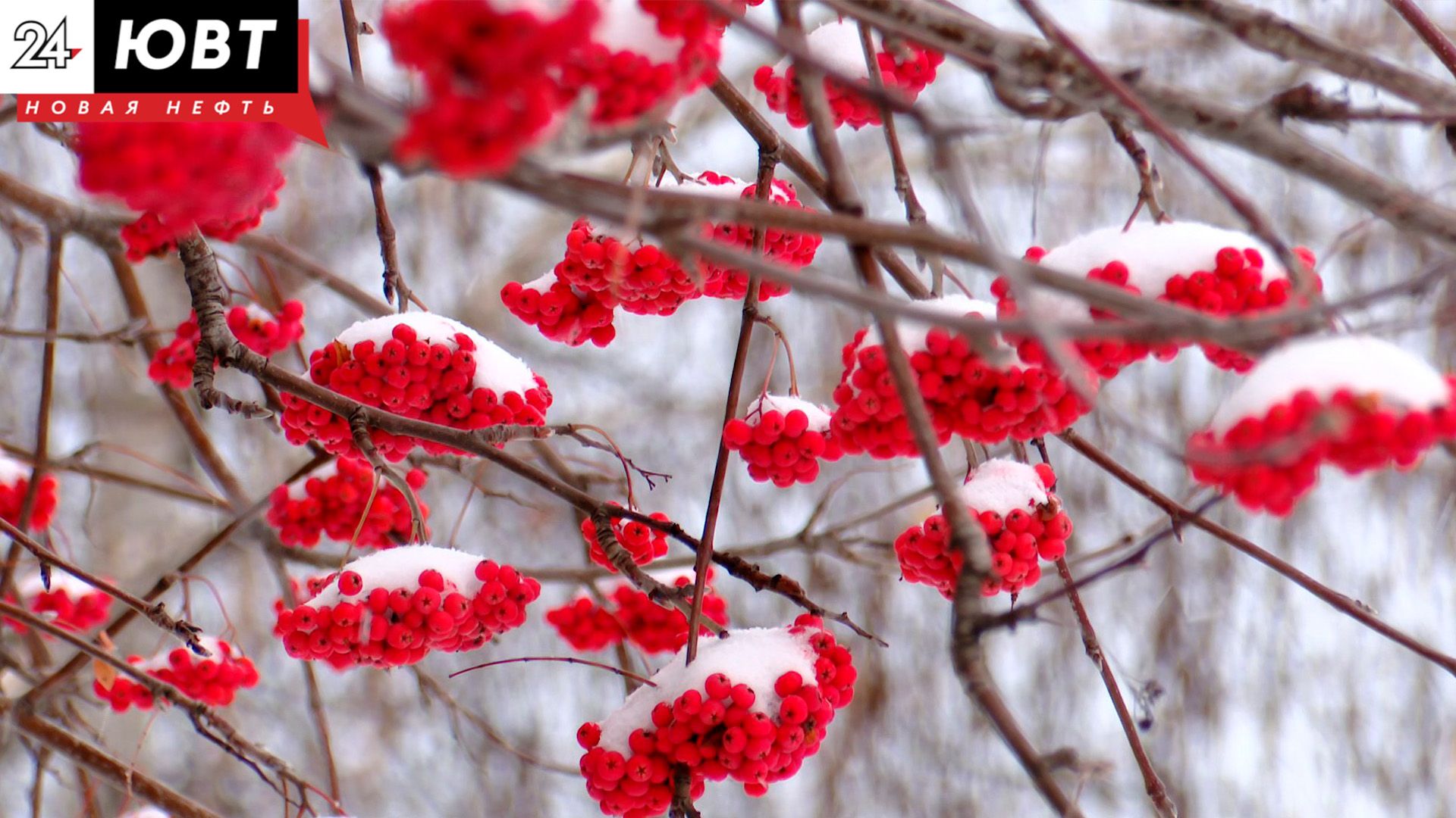 Татарстанцы отдохнут 16 дней в январе