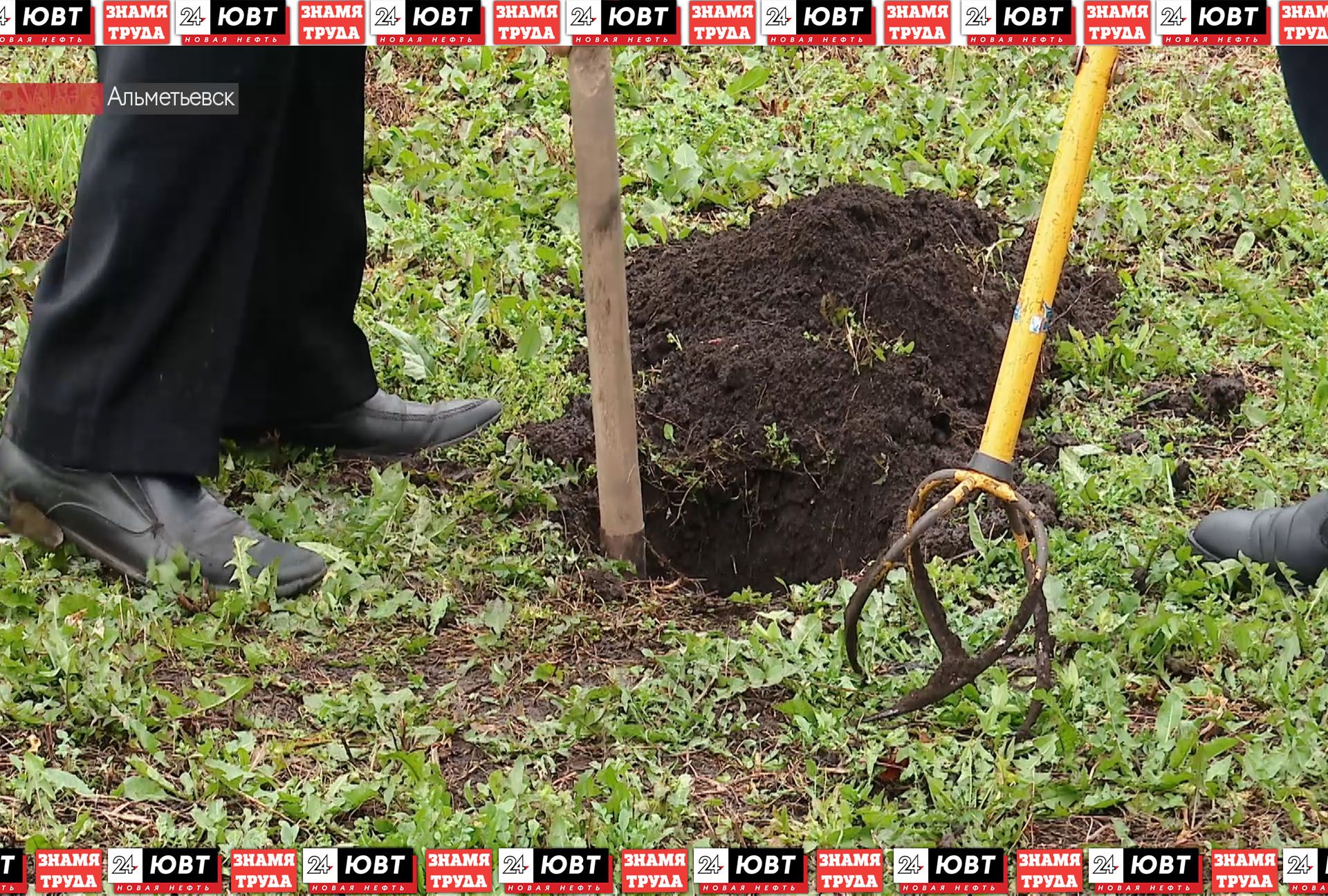 В Комсомольском парке высадили 28 деревьев в честь 50-летнего юбилея