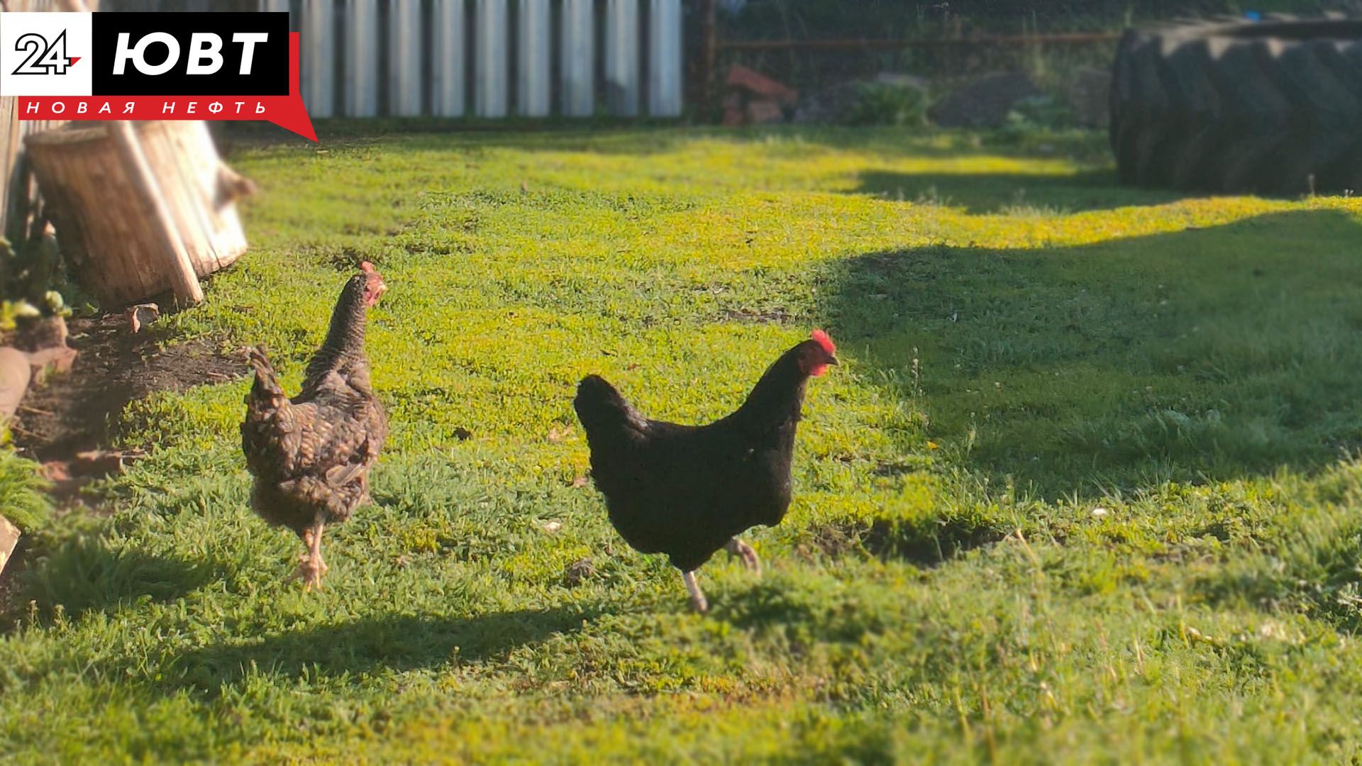 В сёлах Татарстана появилось 53 вышки мобильной связи