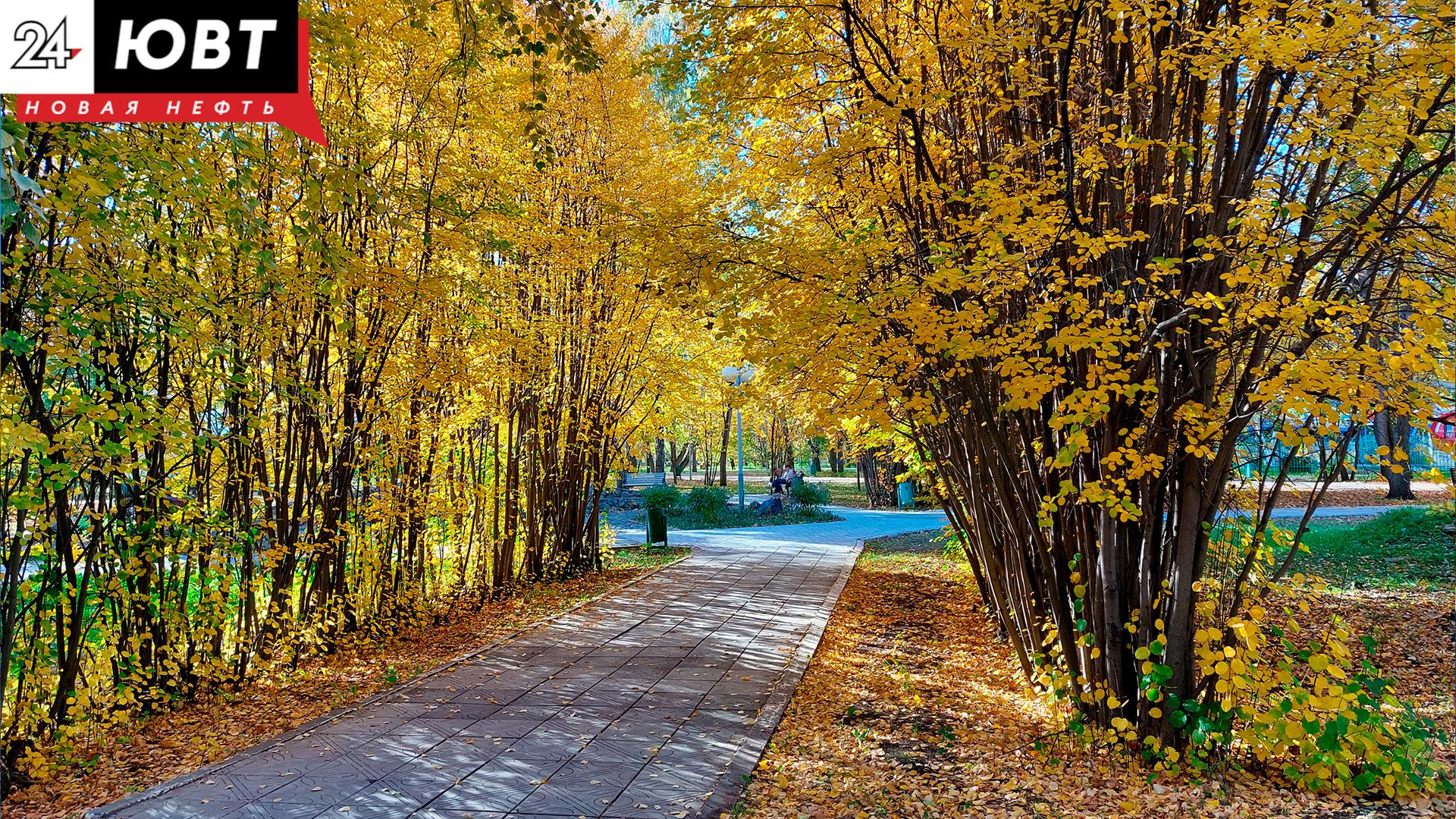 В ноябре у татарстанцев будет 12 выходных дней