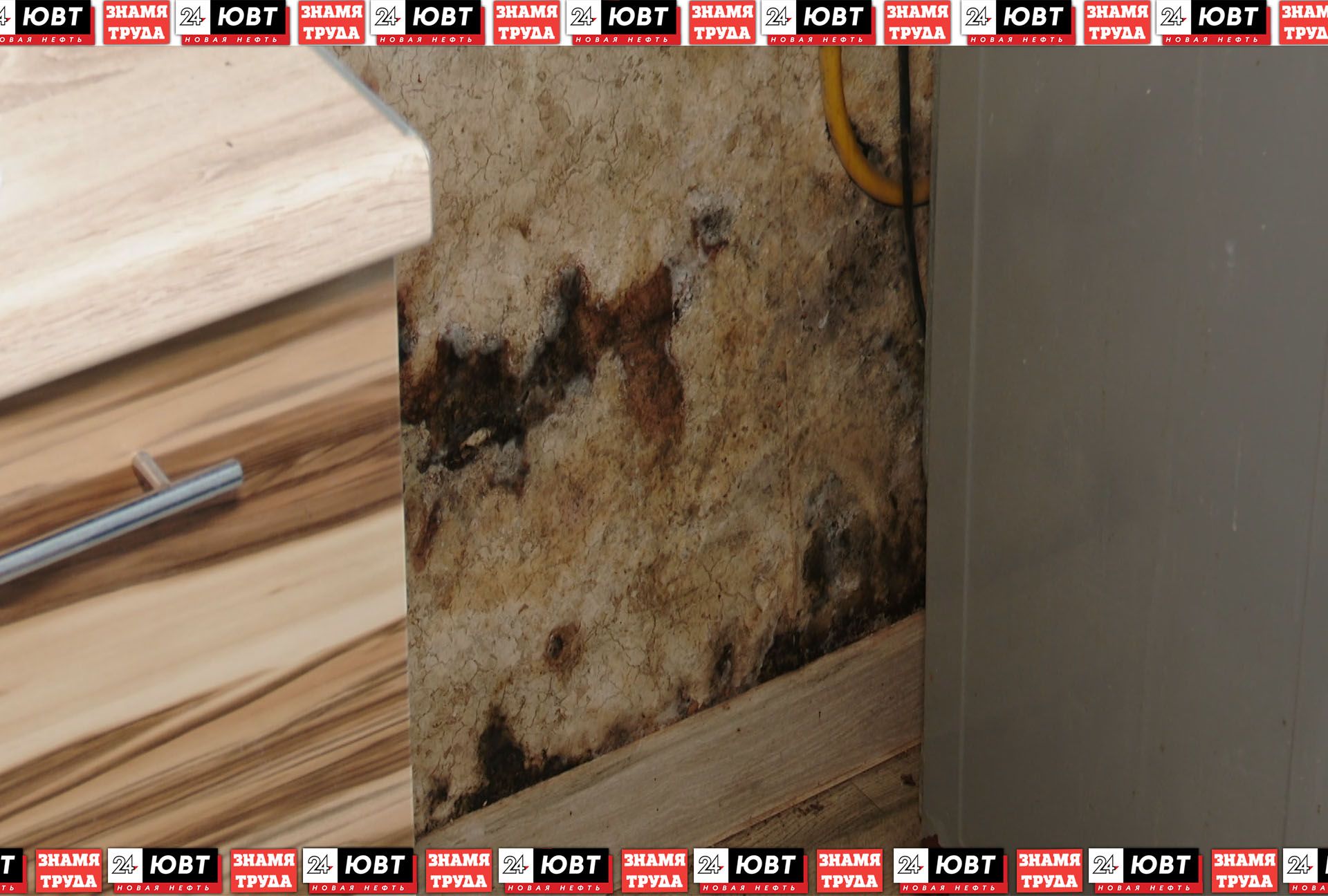 Стены квартир на улице Шевченко обрастают плесенью