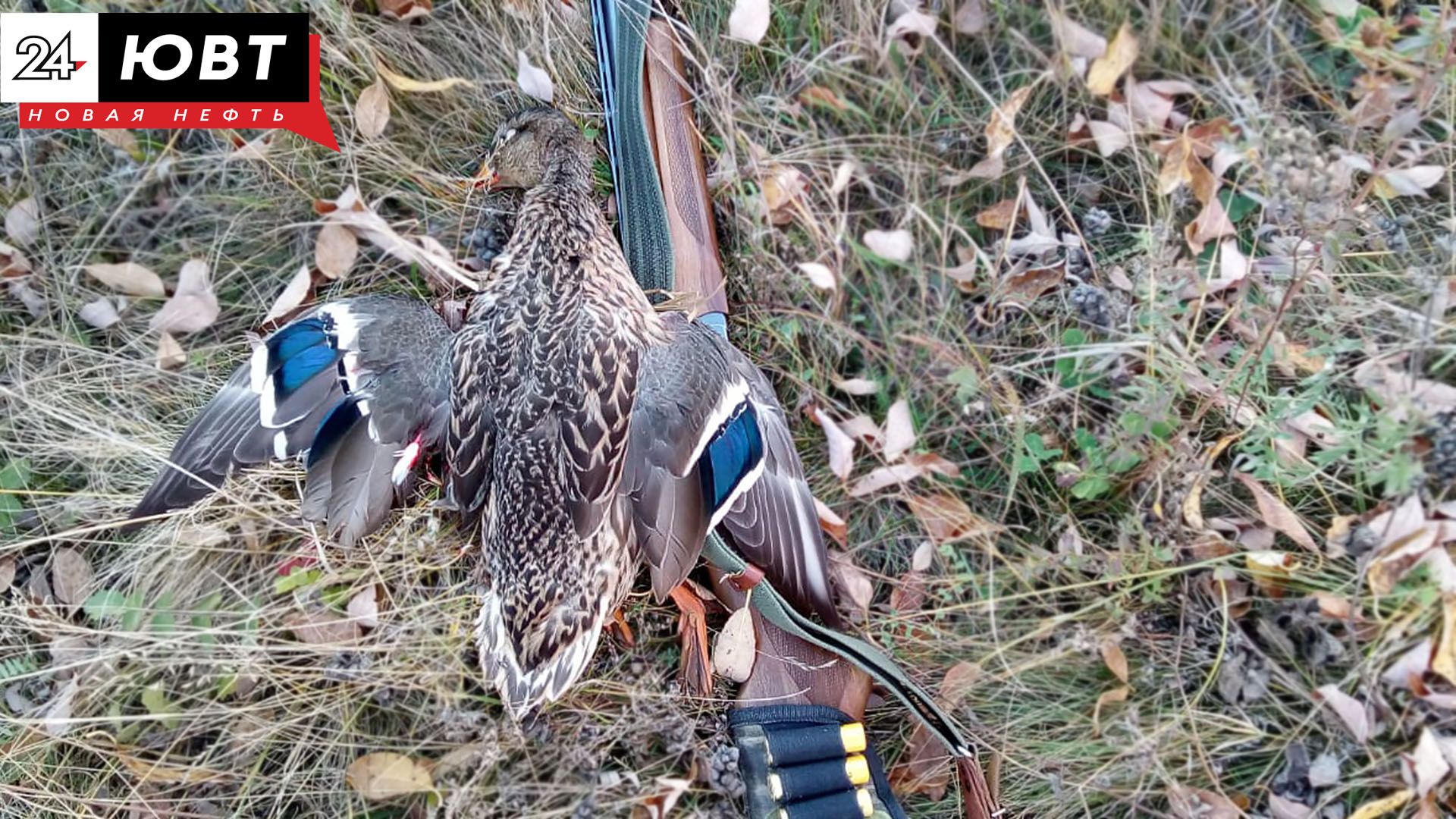 В Черемшане охотник выстрелил себе в ногу во время незаконной охоты