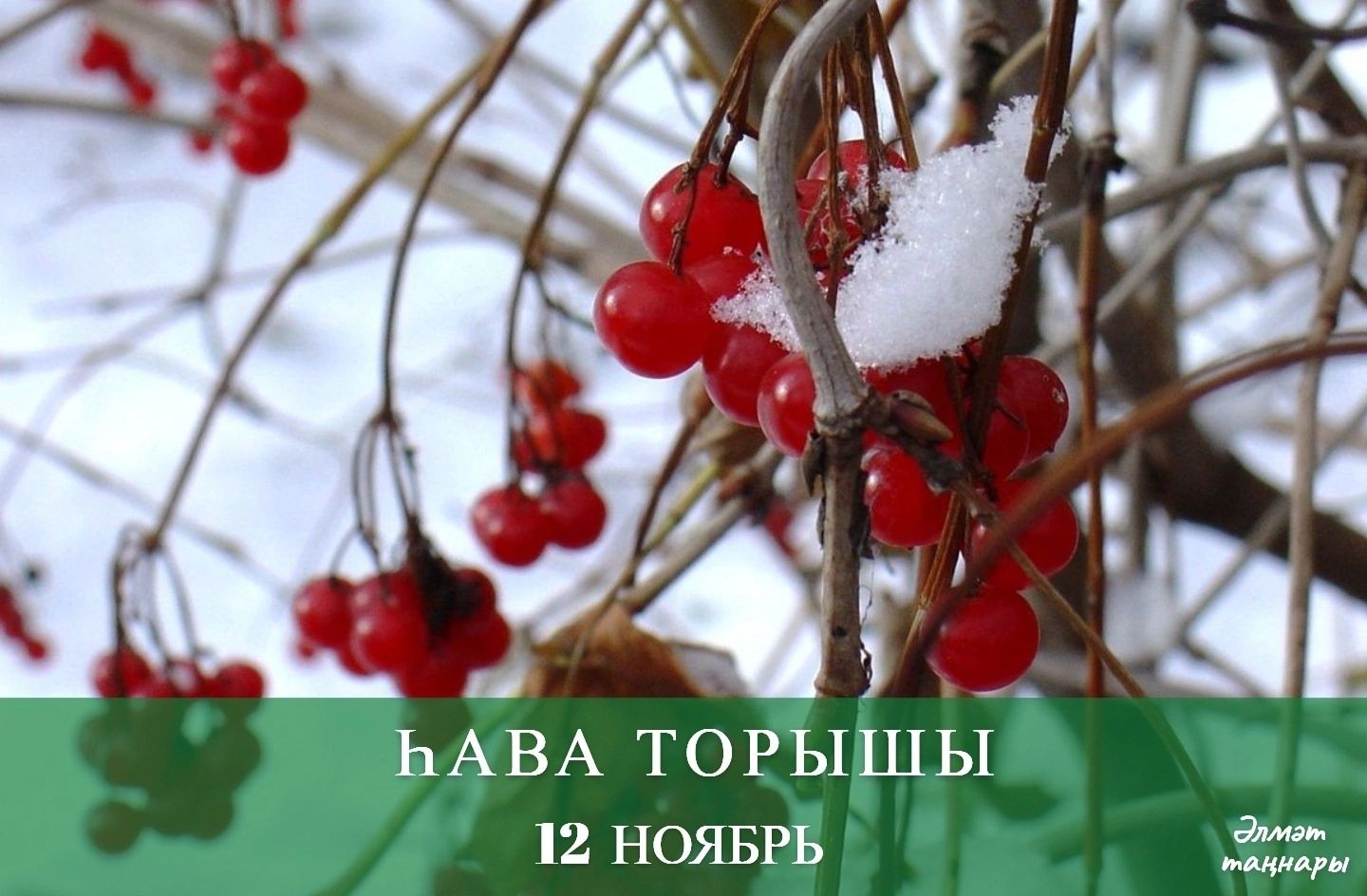 12 ноябрьгә һава торышы