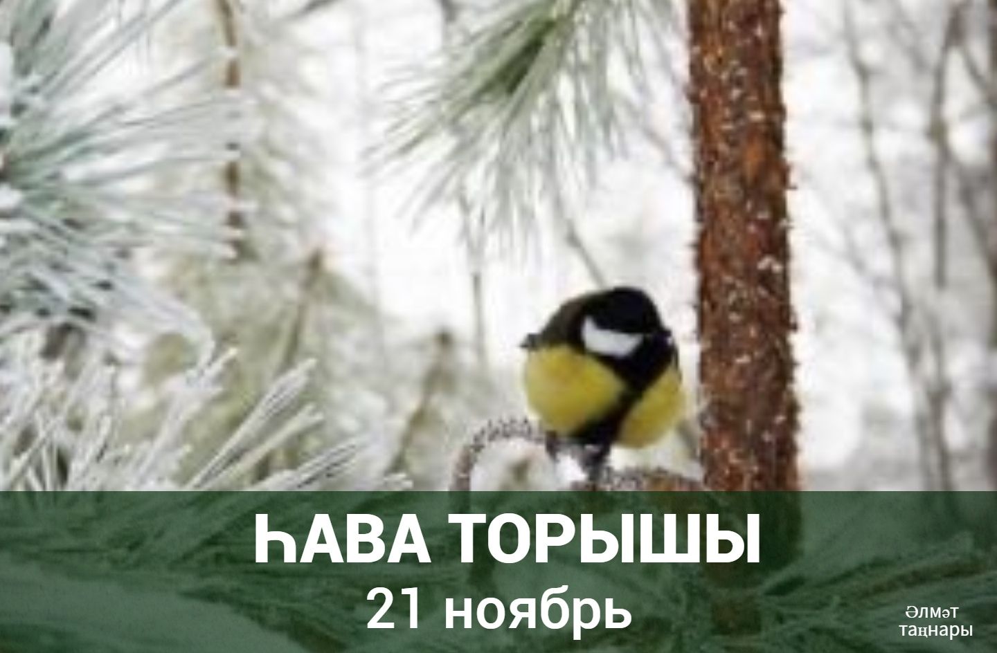 21 ноябрьгә һава торышы