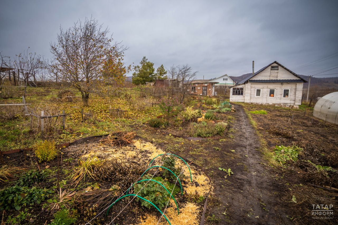 Росреестр Татарстана проведет горячую линию для владельцев земельных участков