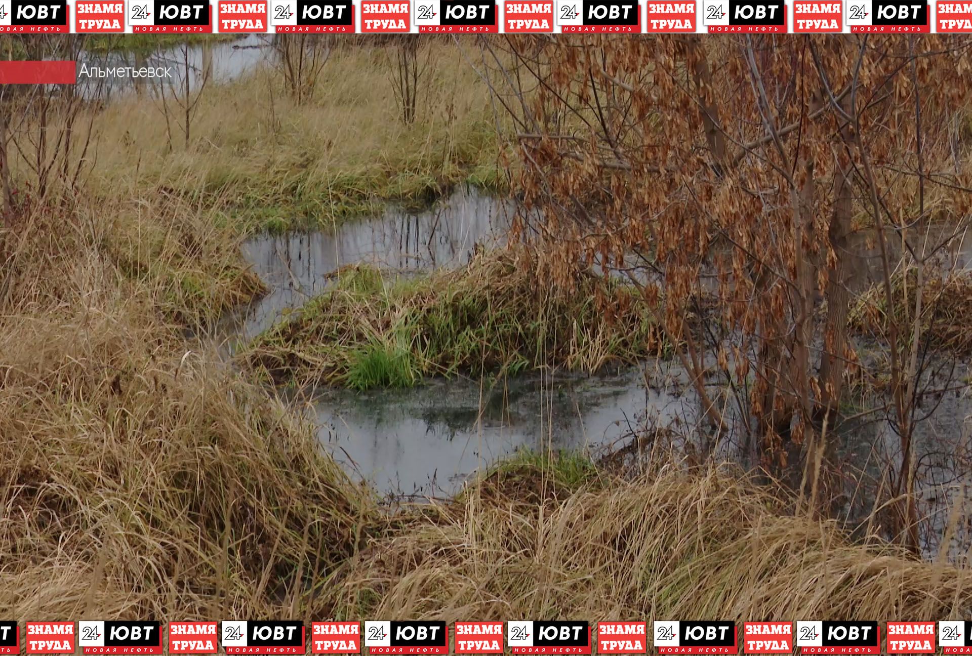 На улице Сургутской в Альметьевске произошел разлив канализации