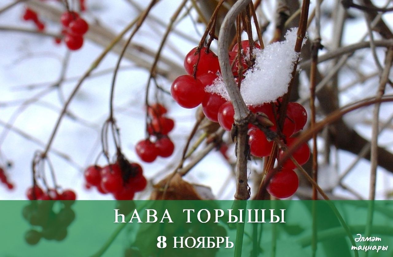 8 ноябрьгә һава торышы