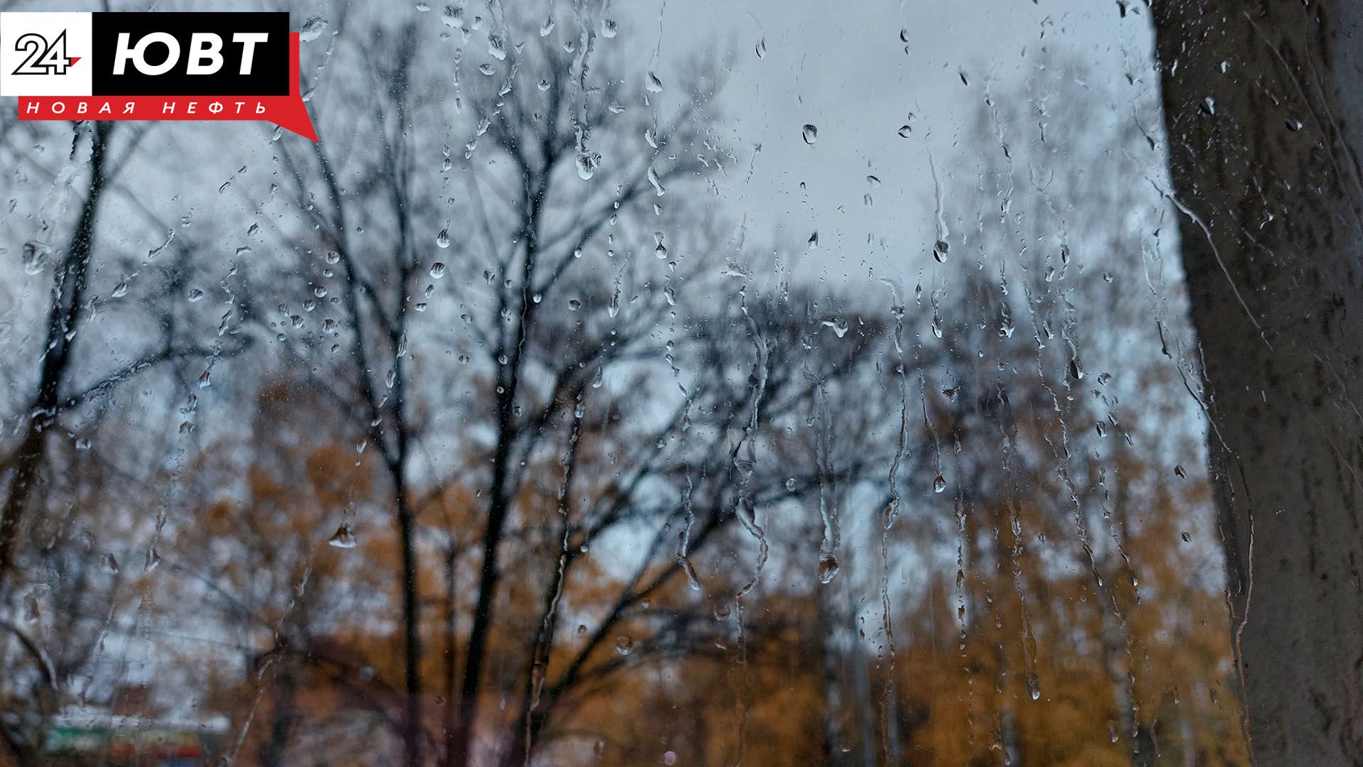 На выходных альметьевцев ожидает дождливая погода