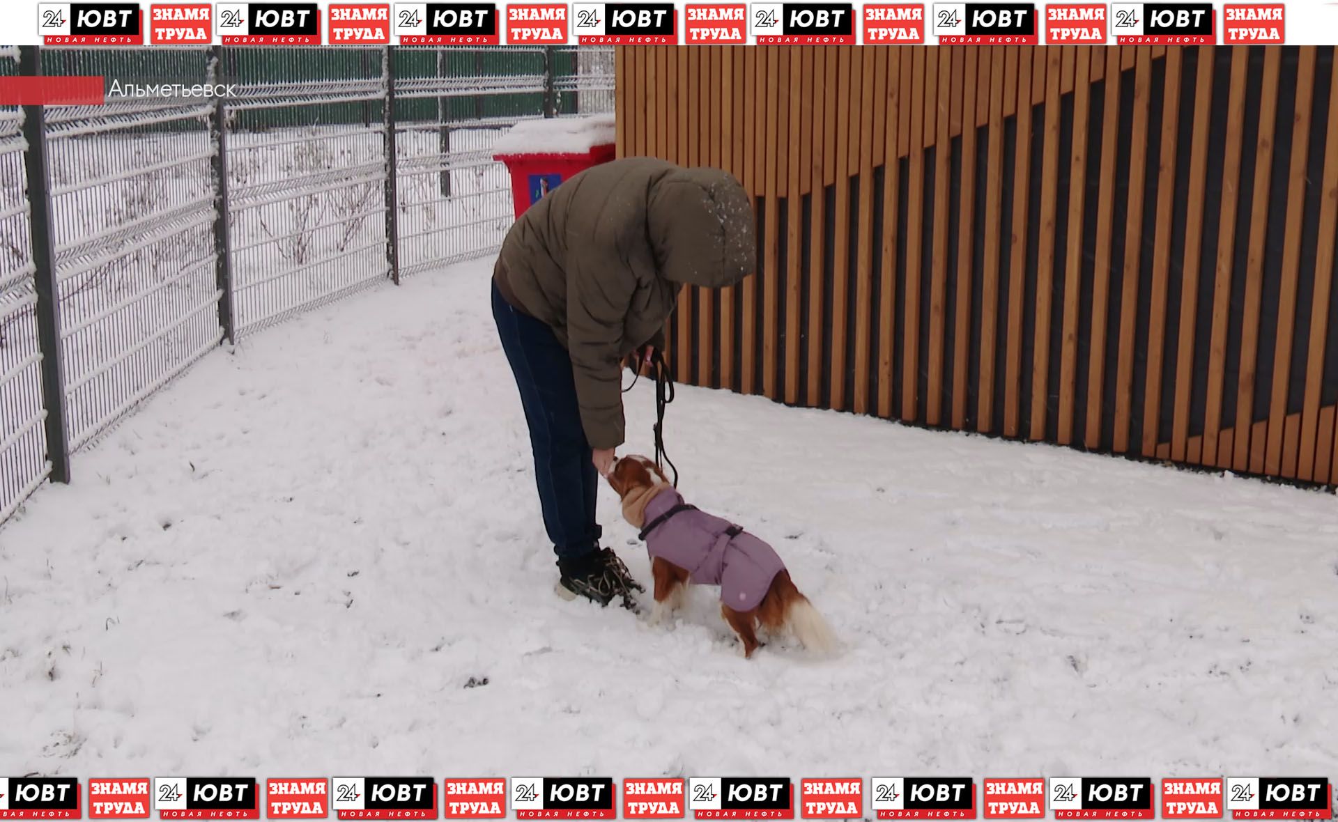 В Альметьевске появилась кинологическая площадка по новому ГОСТу