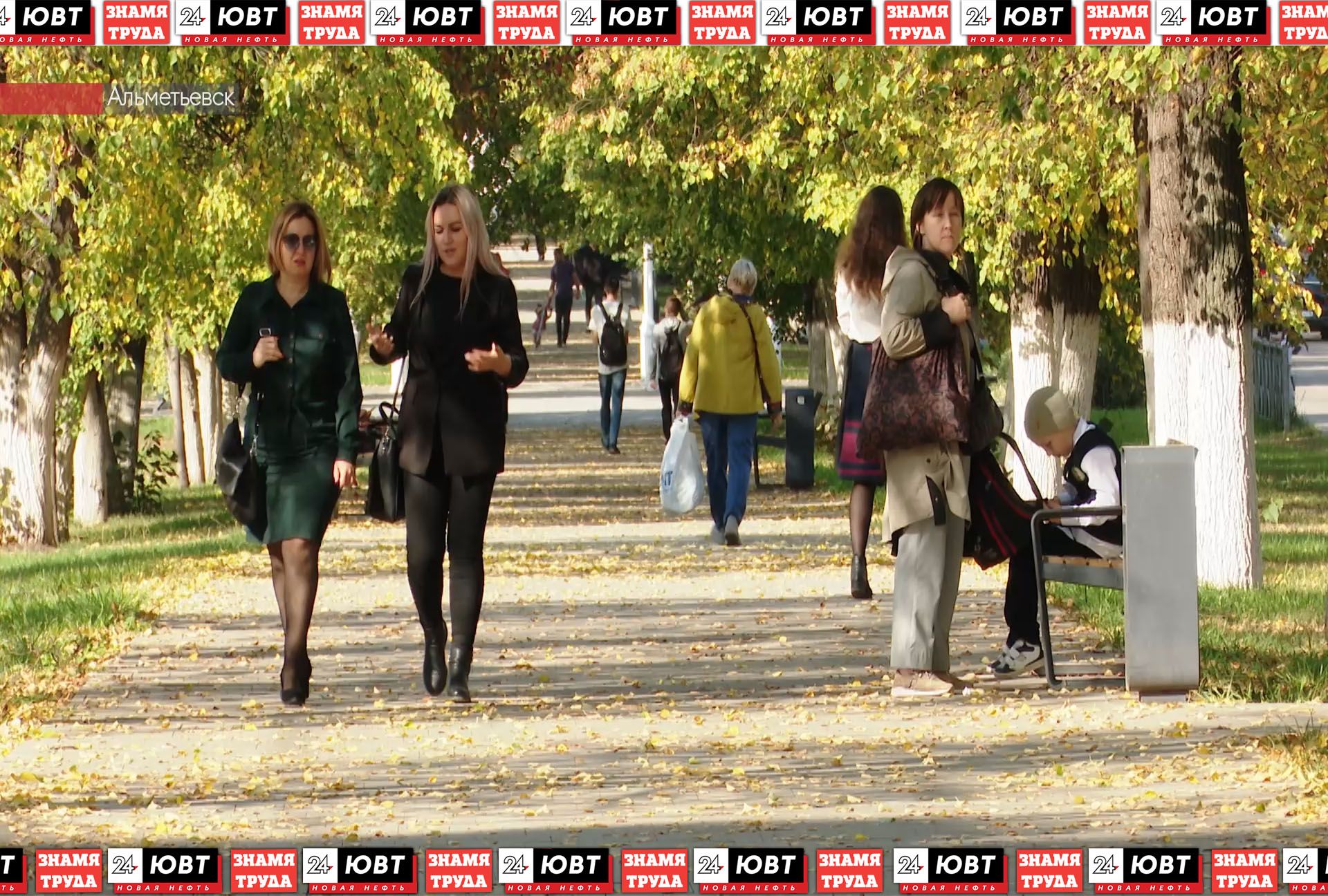 Альметьевцам рассказали о новых декабрьских законах