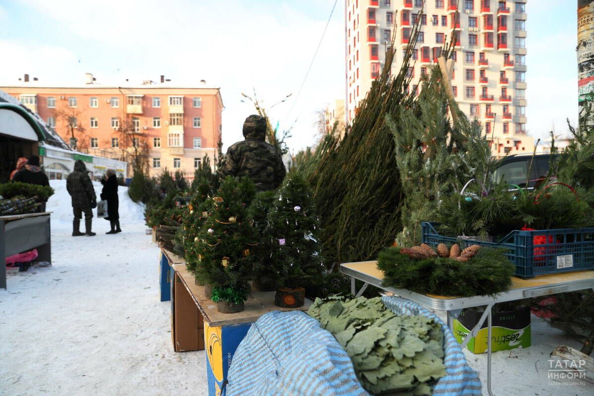 В Татарстане вырастили около 2 тысяч елей к Новому году