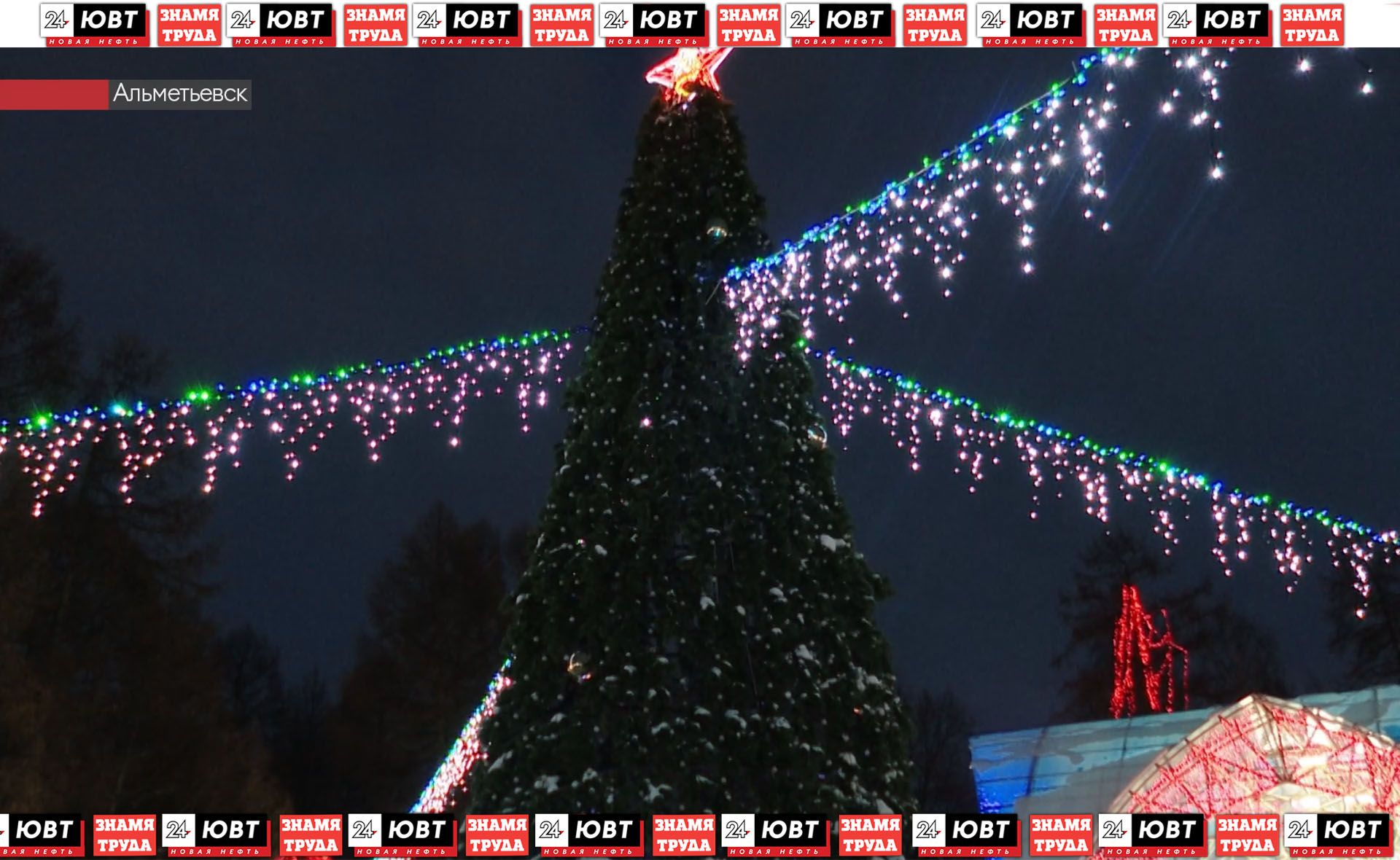 В альметьевском городском парке открылась новогодняя елка