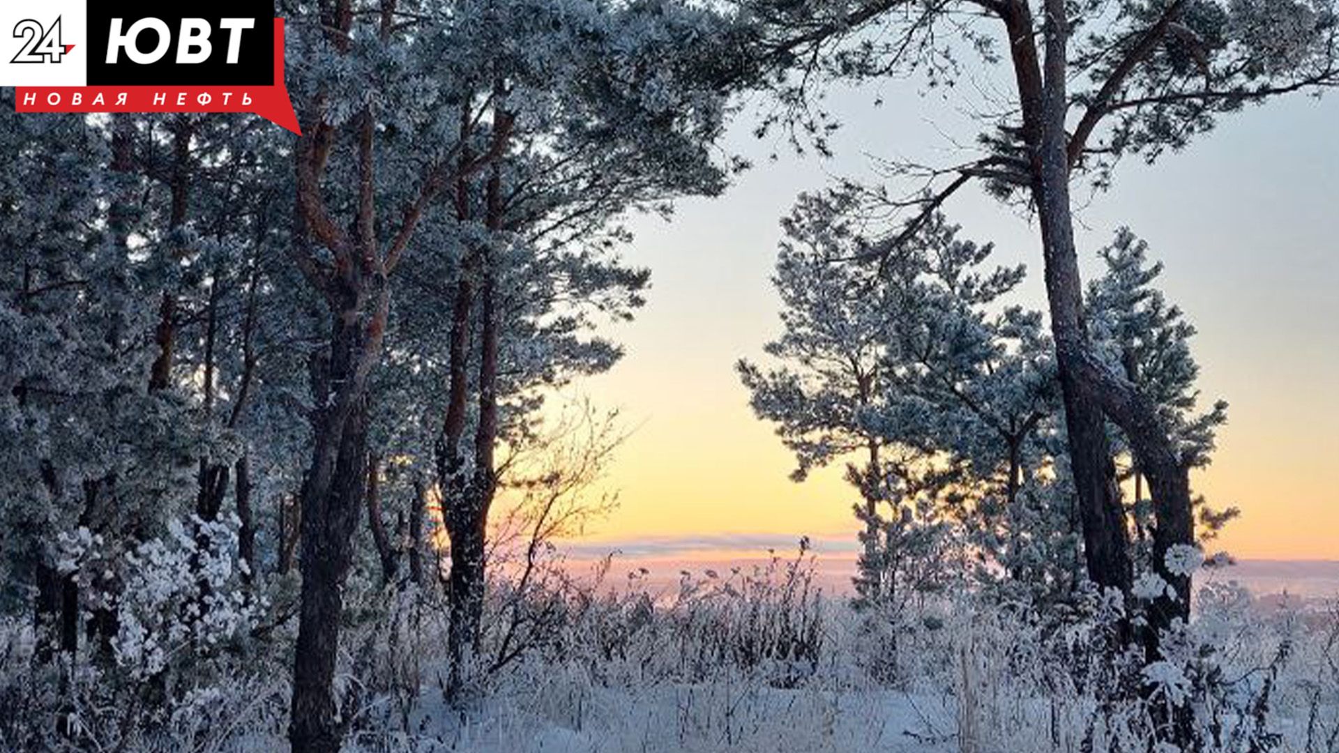Татарстанцам напомнили, при какой температуре отменяются уроки в школах
