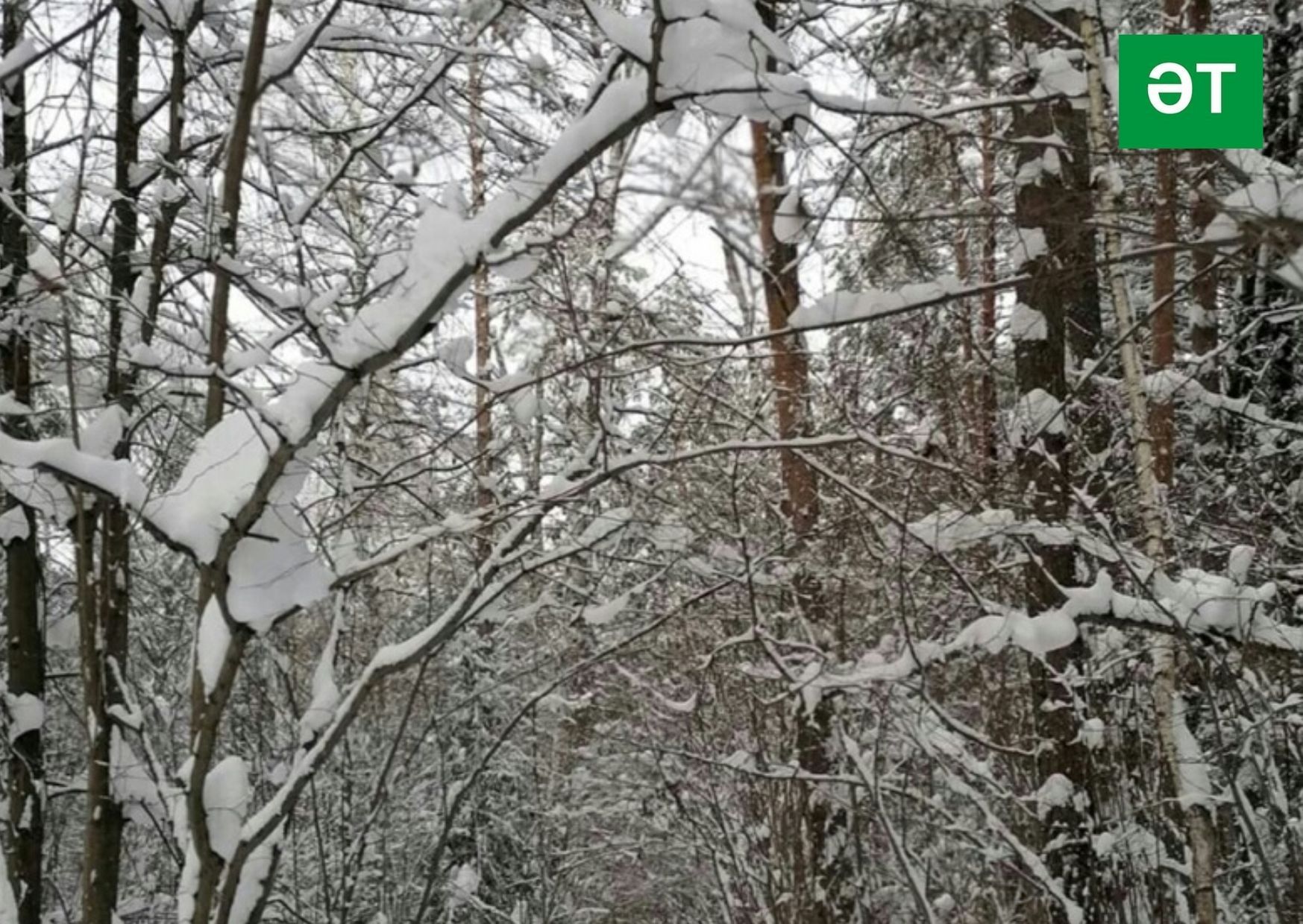 13 февральгә һава торышы