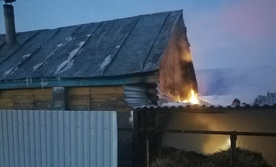 В Альметьевском районе сгорела хоз постройка
