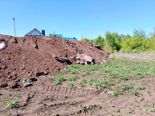 Верховный суд обязал ликвидировать несанкционированную свалку в Альметьевске