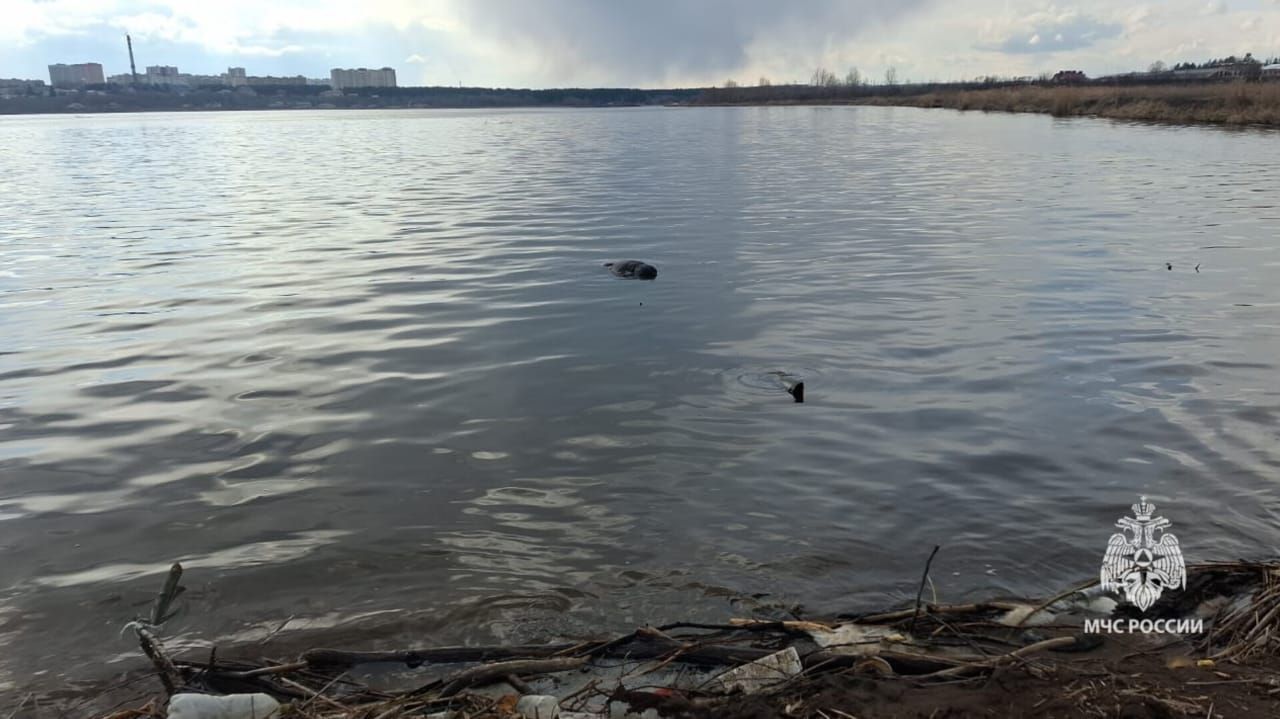 Тело мужчины извлекли из Альметьевского водохранилища