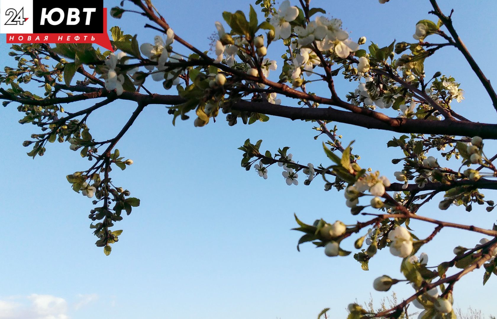 Поздравление председателя Госсовета РТ Фарида Мухаметшина с Праздником Весны и Труда