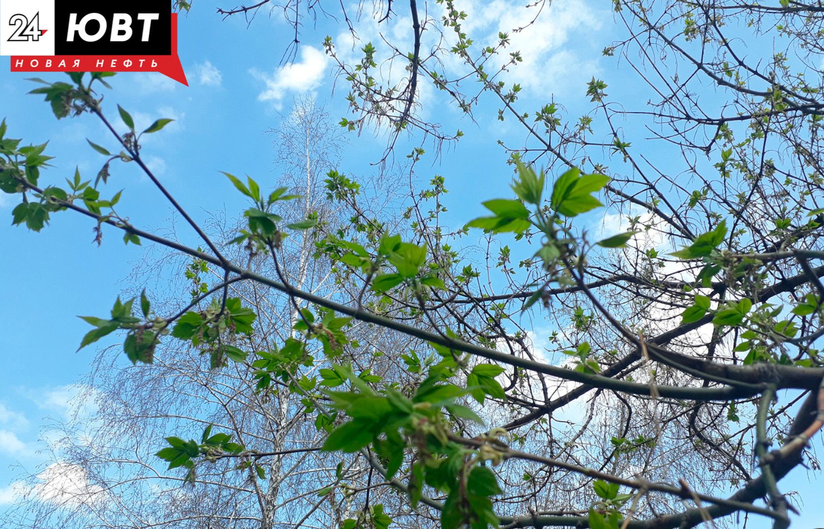 Татарстанцев ждут длинные выходные в июне