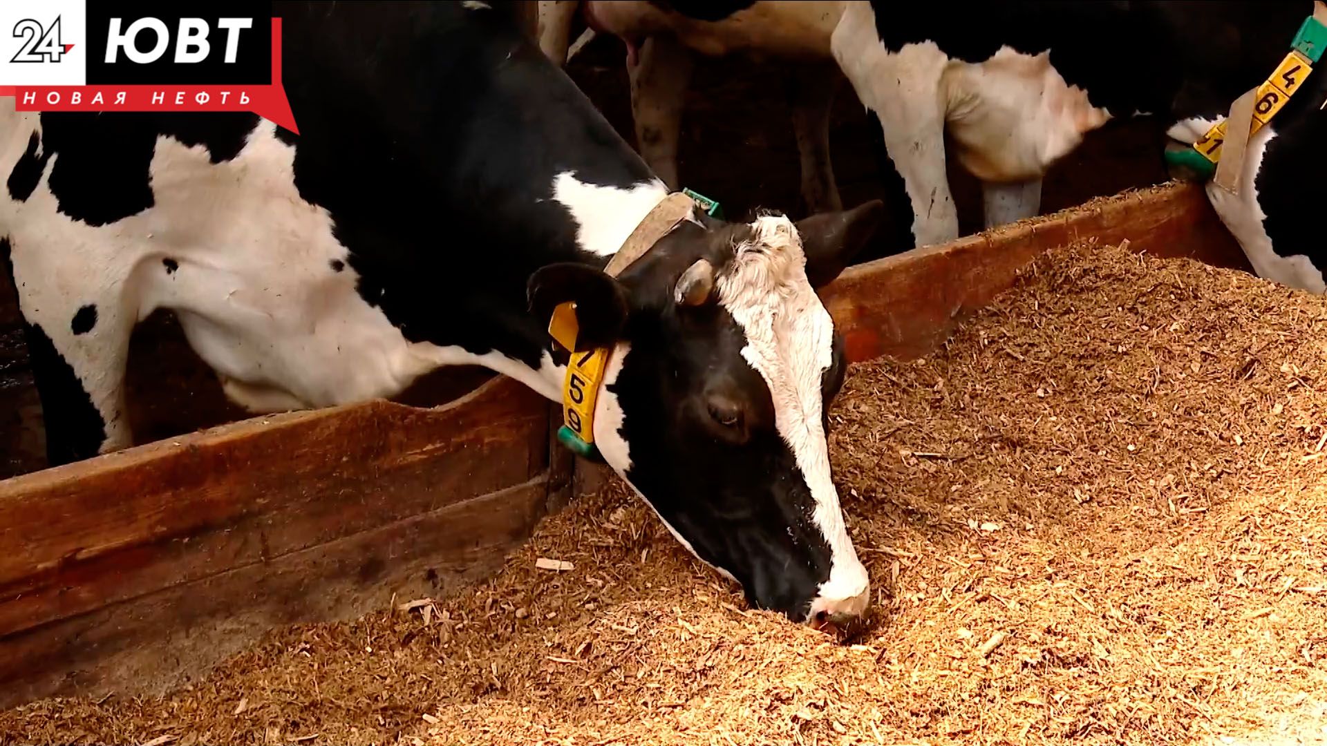 Детская мечта Альметьевца стала призванием