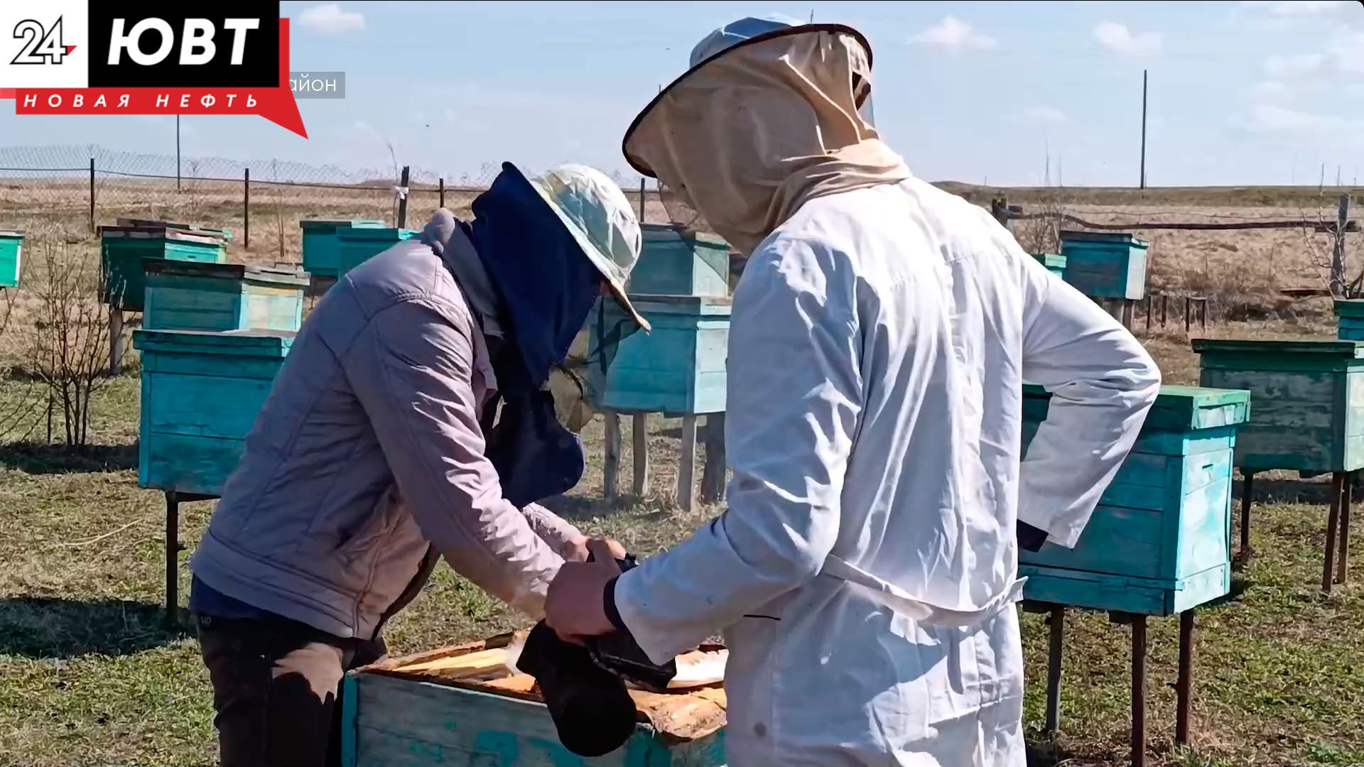 В Альметьевске отметили день пчел