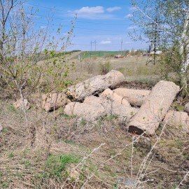 Экологи выявили свалку в Черемшанском районе