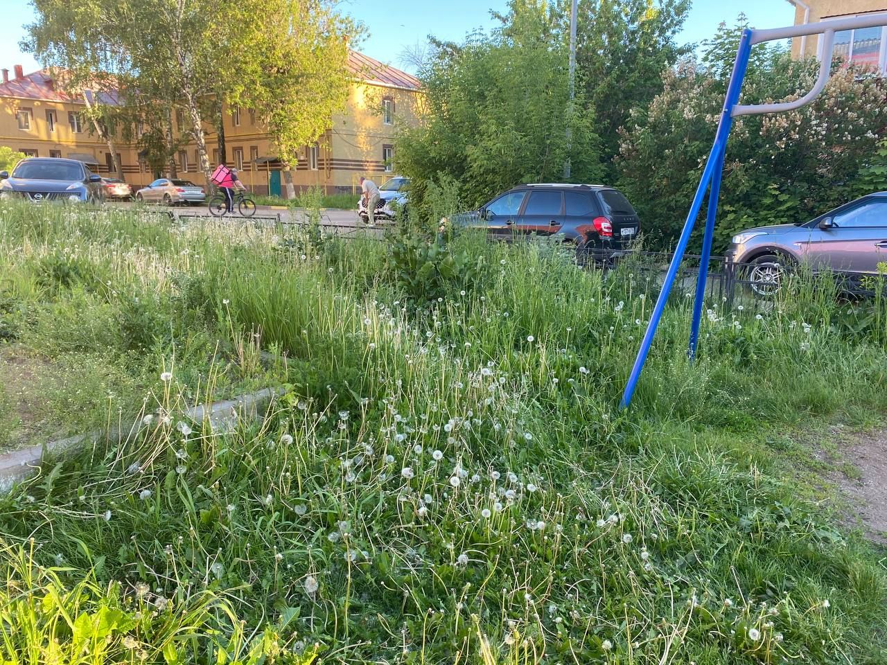 Жители Альметьевска недовольны состоянием газонов и покосом травы