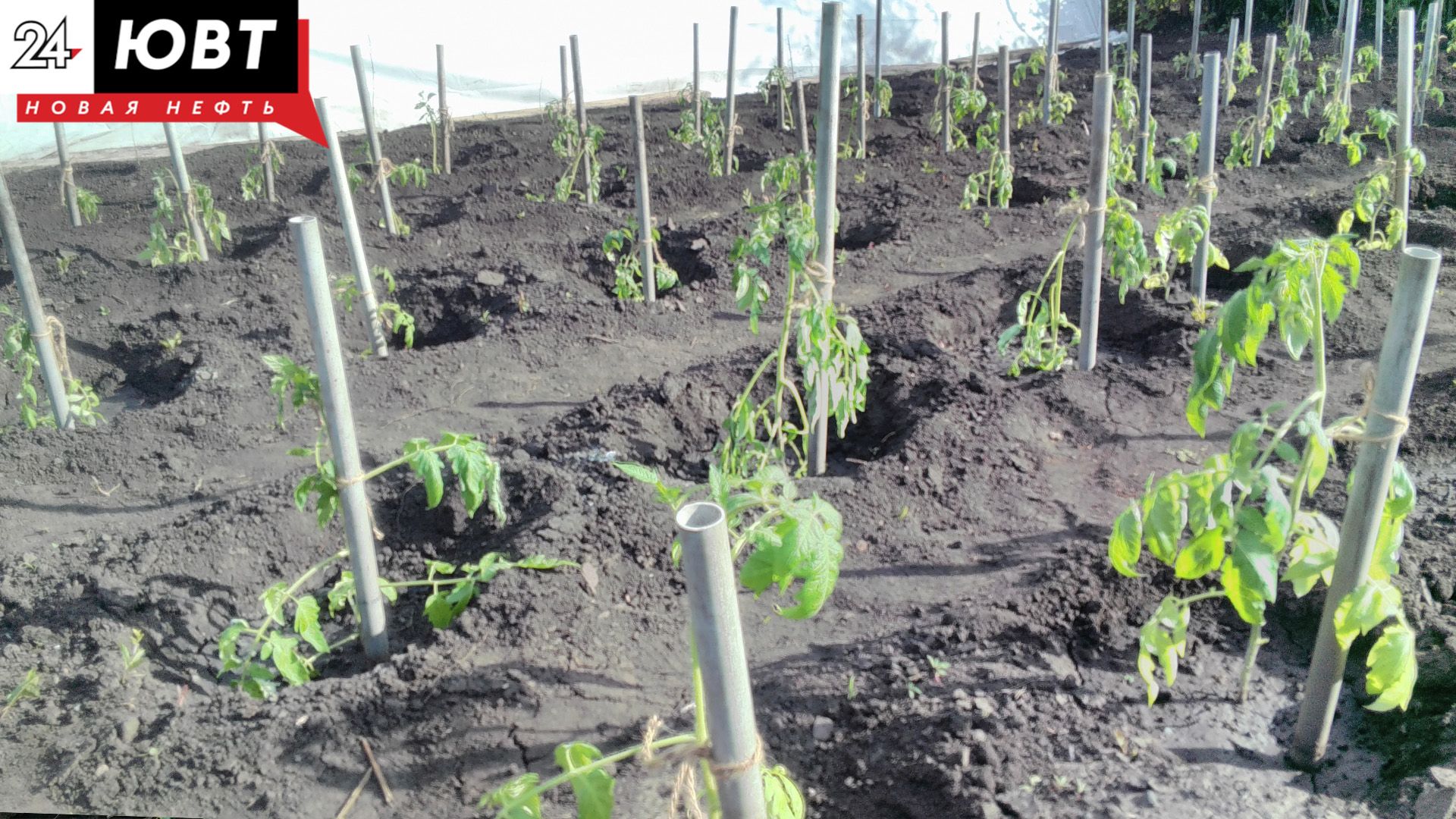 Альметьевским дачникам напомнили о запретах