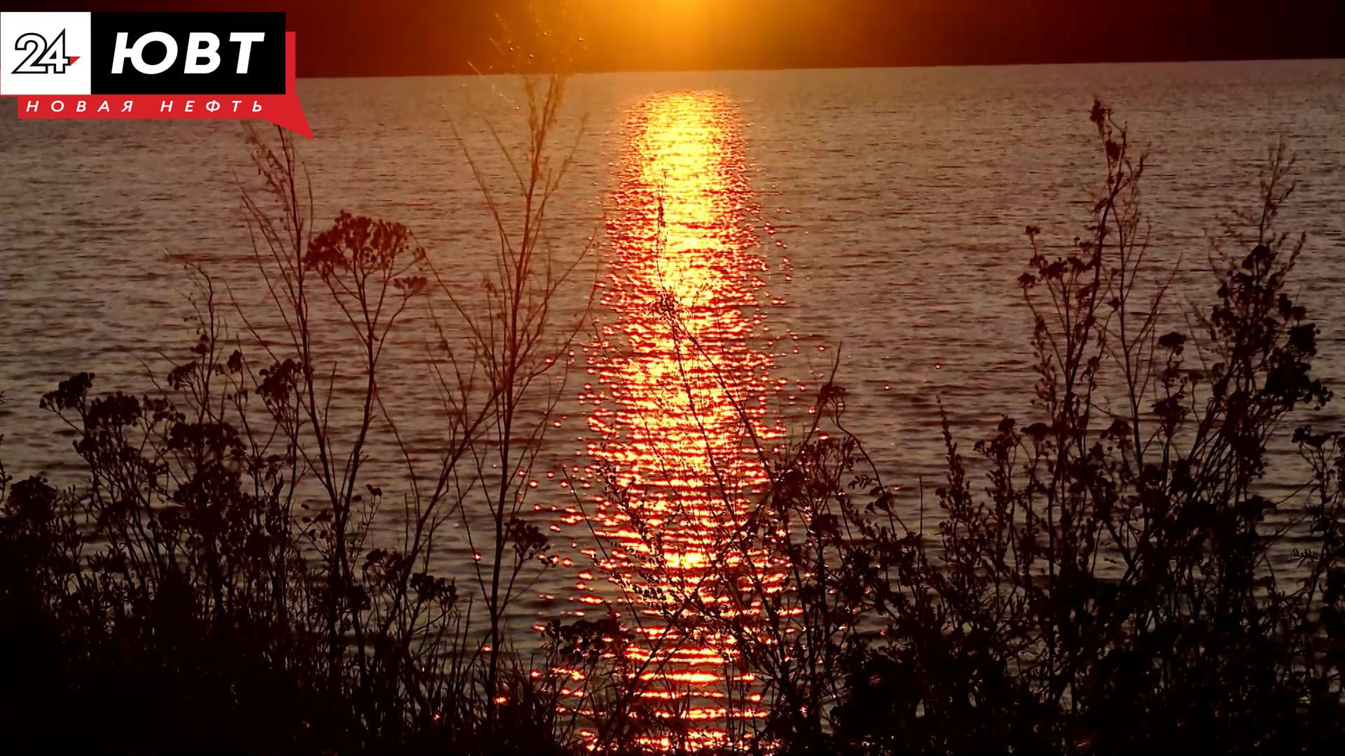 На альметьевском водохранилище запустили прокат роликов