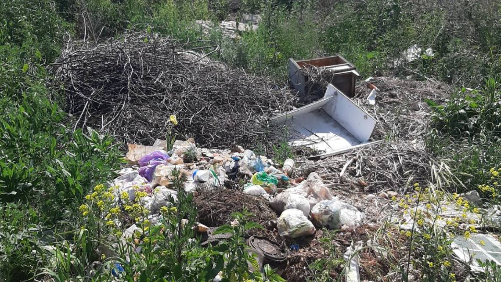 В Заинском районе обнаружена свалка размером с футбольное поле