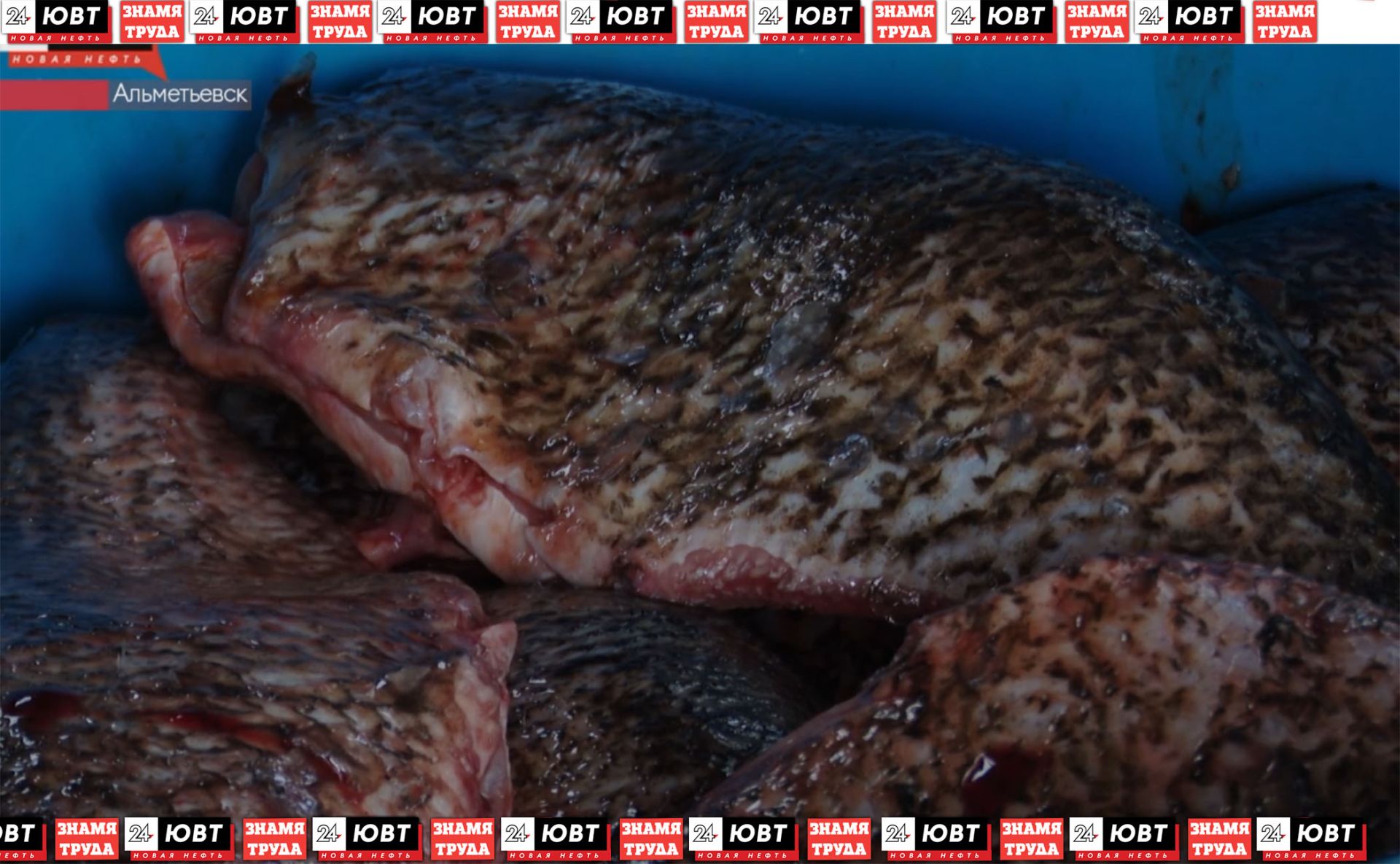 Альметьевские волонтеры приготовили консервы для бойцов СВО