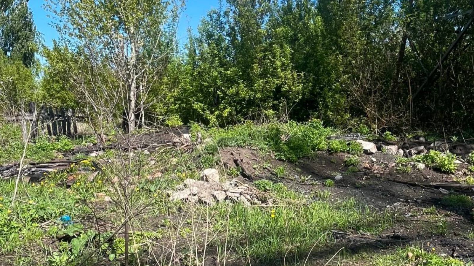 Экологи обнаружили свалки в Заинске