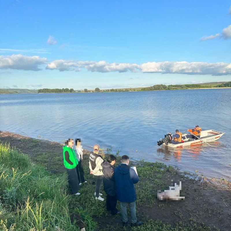 В Бугульминском районе утонул мужчина
