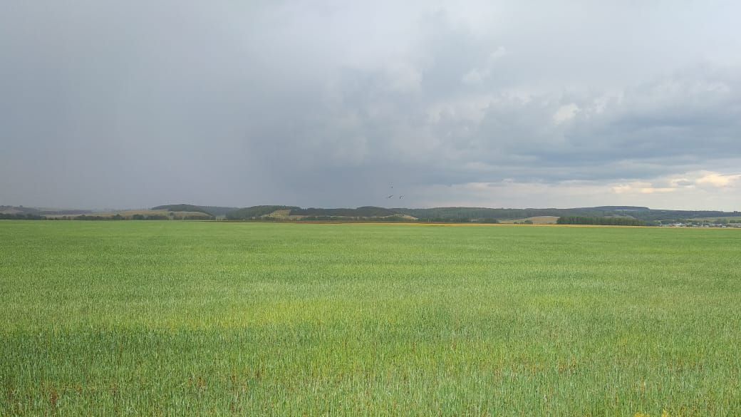 6 июньгә һава торышы