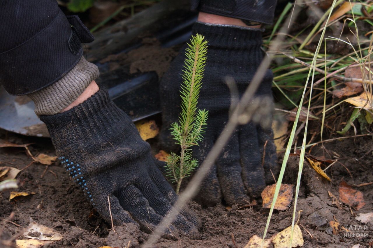 В Казани наградят победителей конкурса «Эковесна 2025»