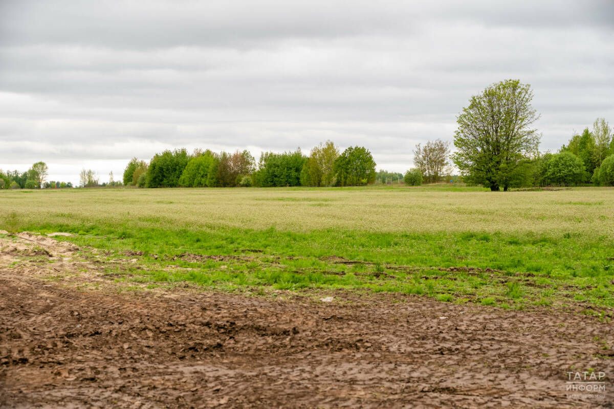 Татарстан выявил почти 3 тысячи участков земли под застройку