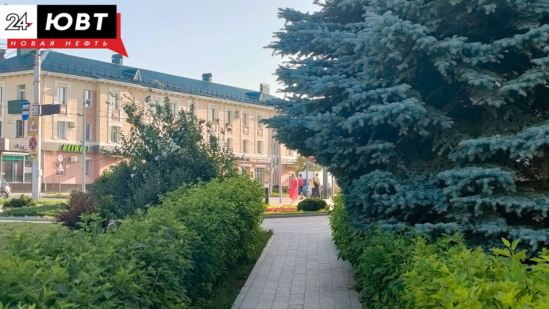 Расписание проекта «Культурная среда города» на 13 и 14 июня