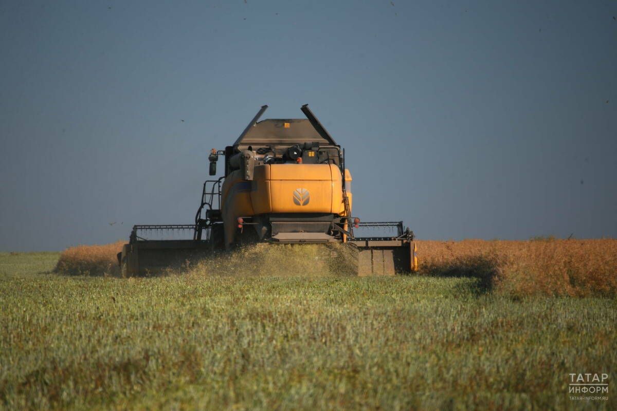 Татарстан лидирует в цифровизации сельского хозяйства России