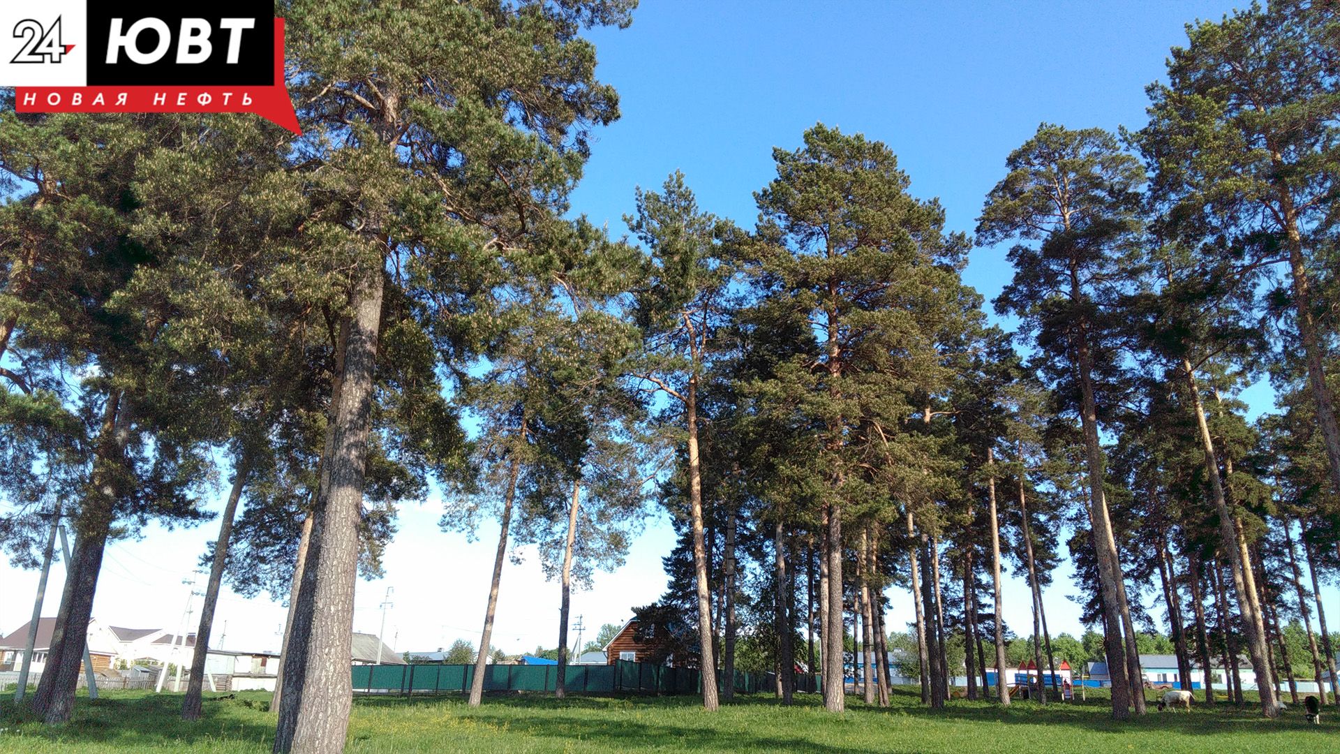 В Татарстане сохраняется высокая пожарная опасность лесов