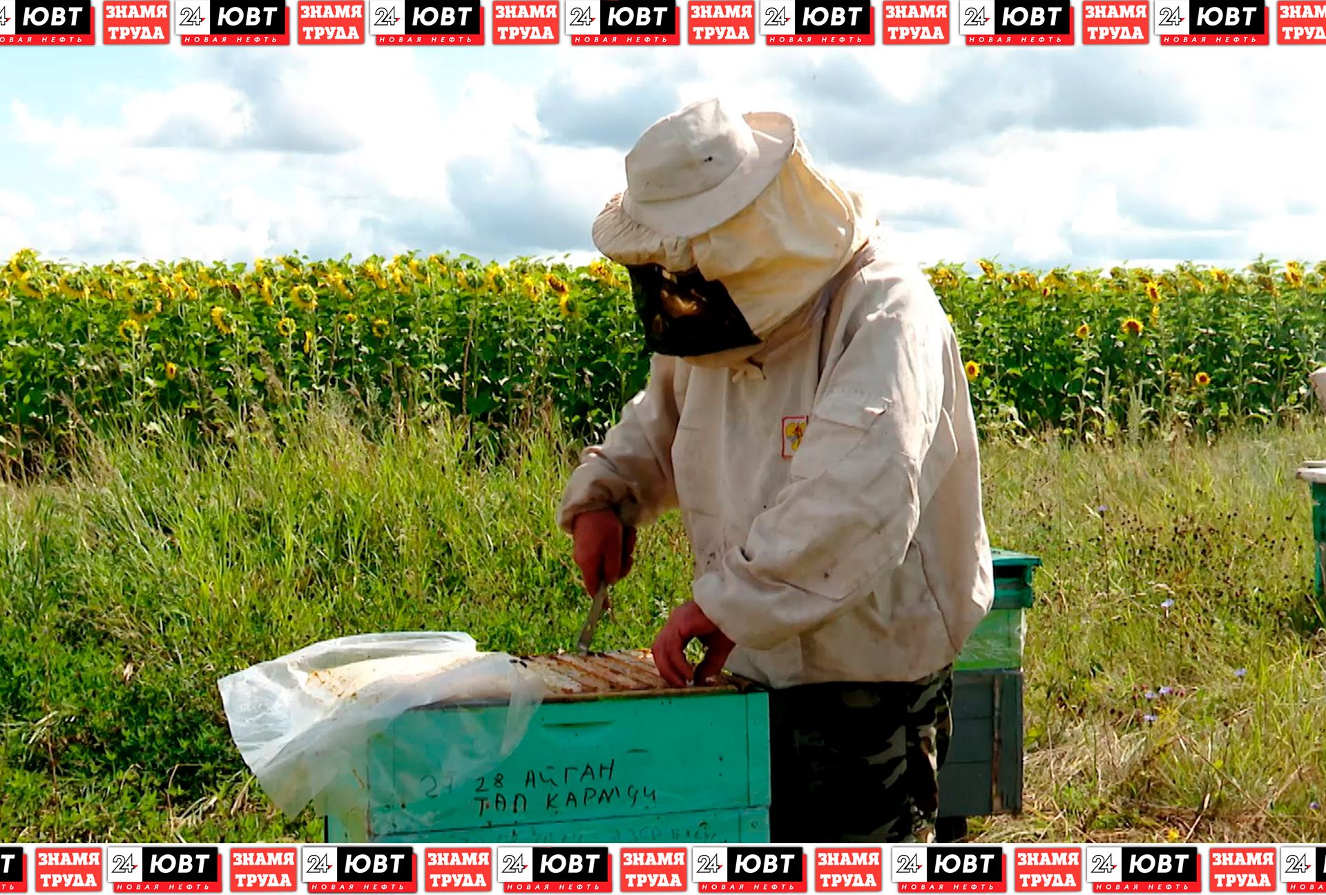 Пчеловод из Альметьевского района рассказал о своем ремесле