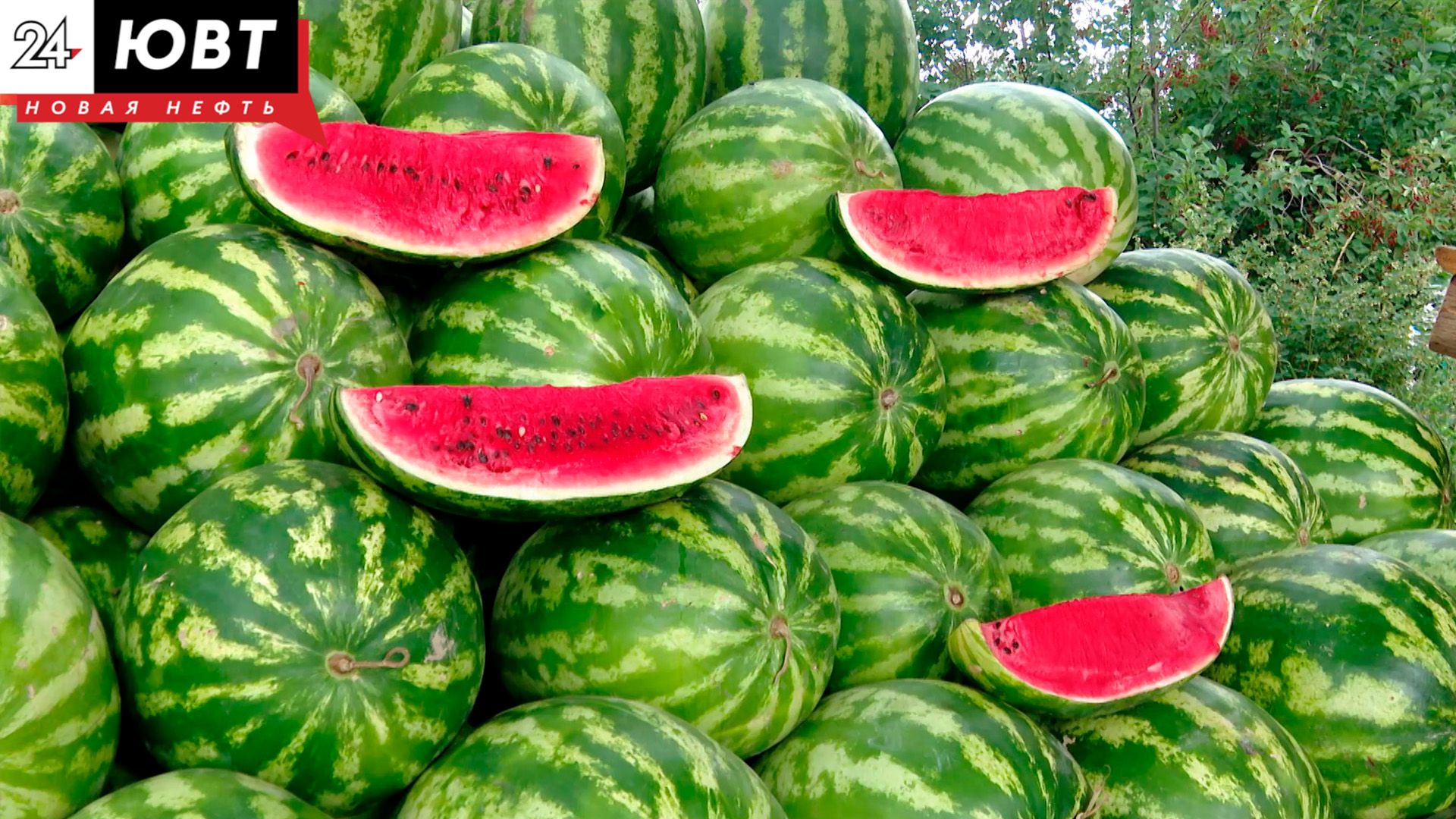 В Альметьевске пройдет «АРБУЗ фест»