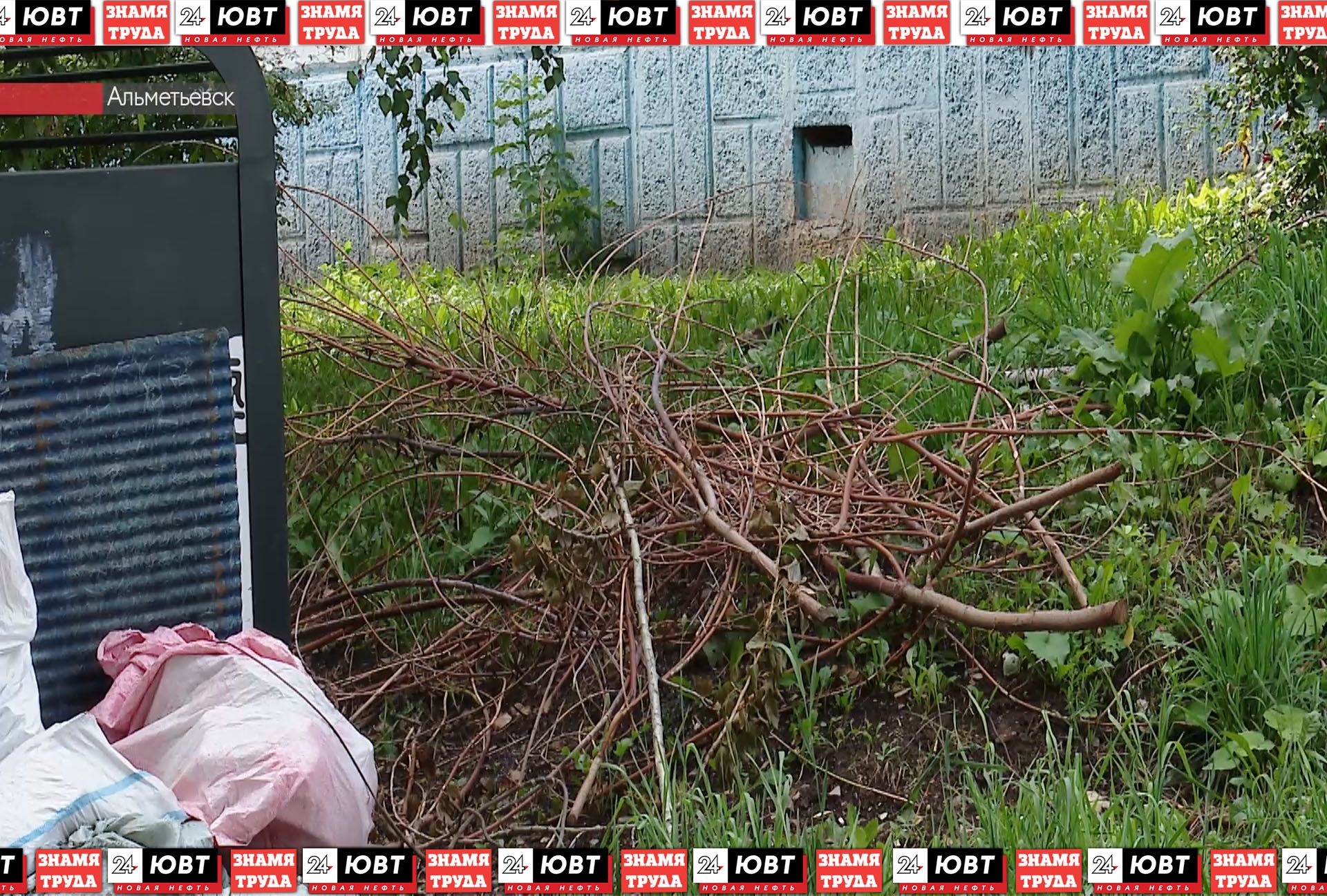 Жители улицы Нефтяников жалуются на падающие с деревьев ветки