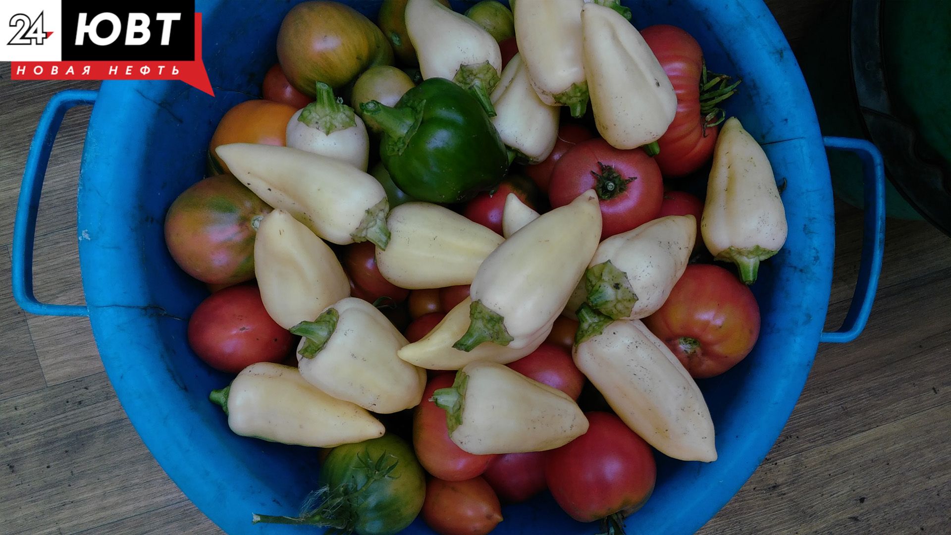 Татарстанцам рассказали, что нельзя будет делать на даче с 1 сентября