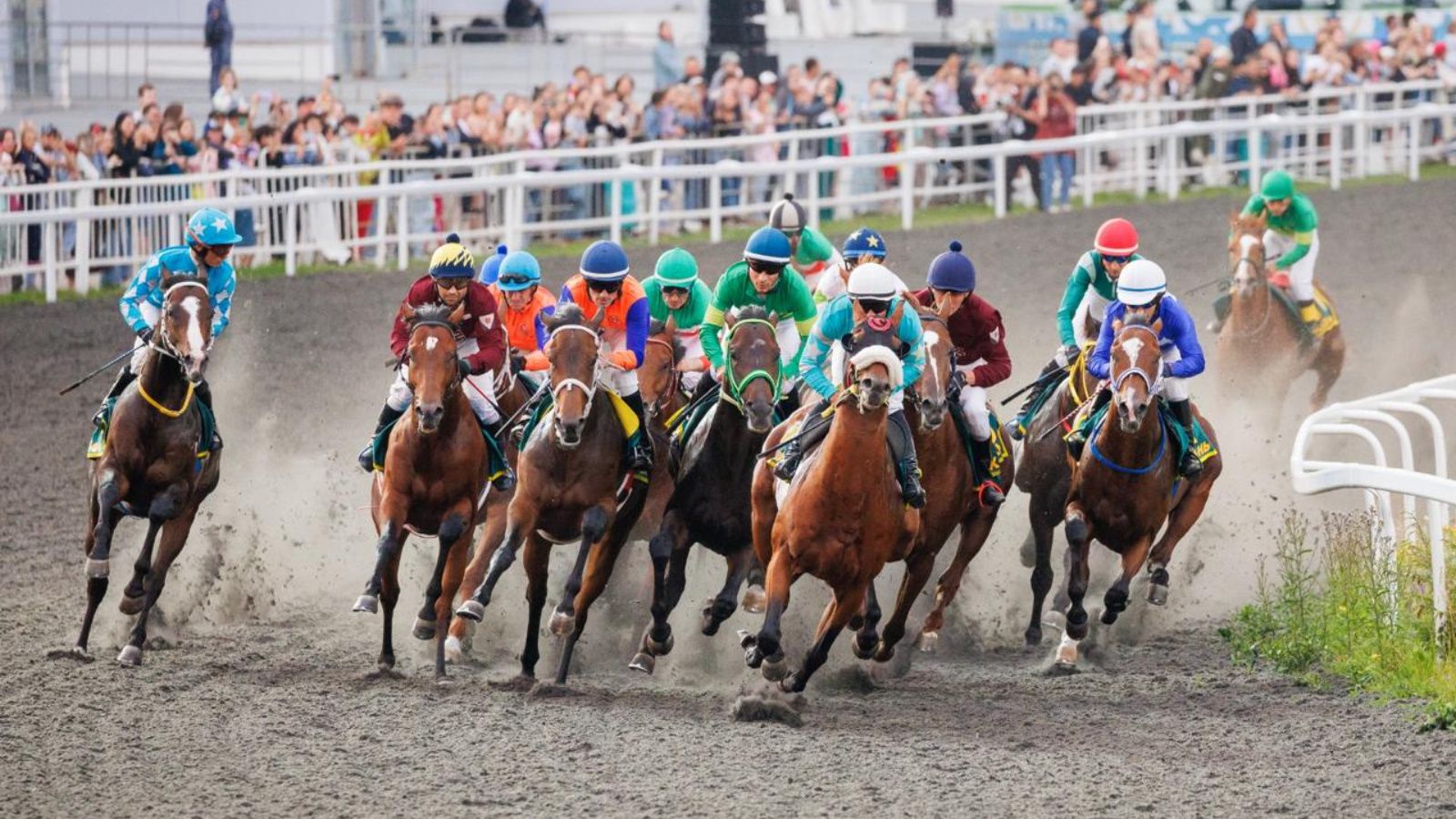 Казань готовится принять самые престижные скачки России и международный турнир по конкуру