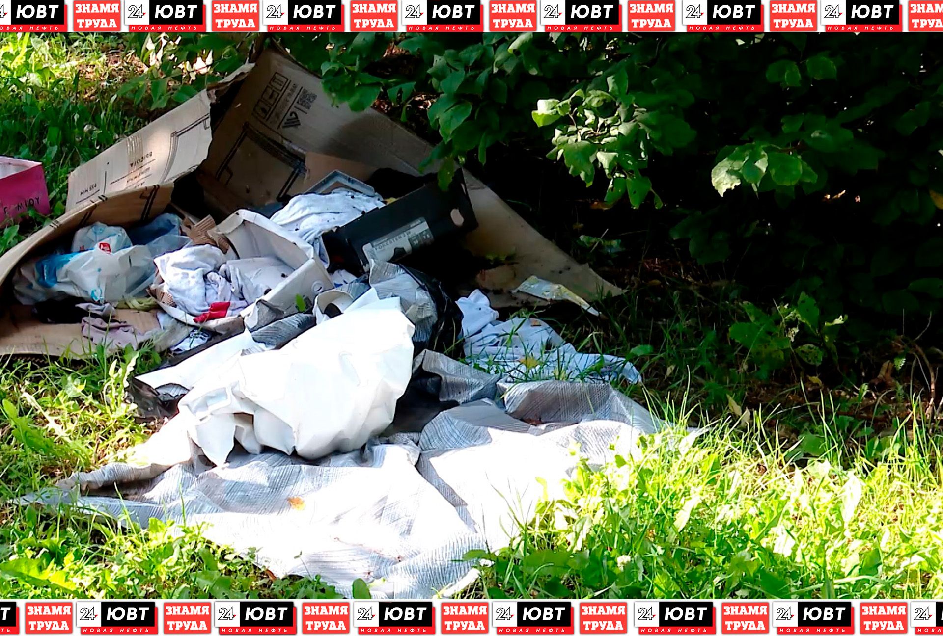 Двор на Шевченко облюбовали любители крепких напитков