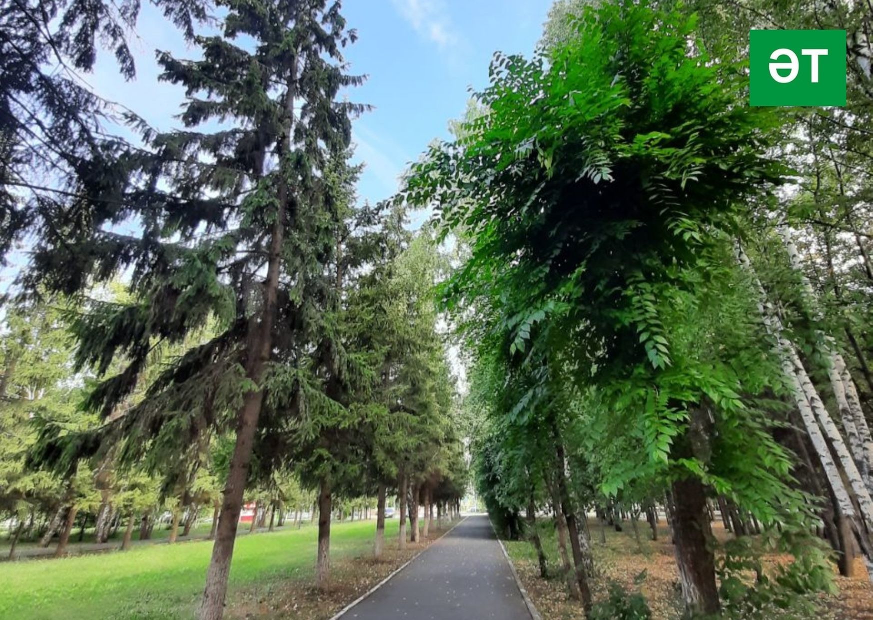 5 августка һава торышы