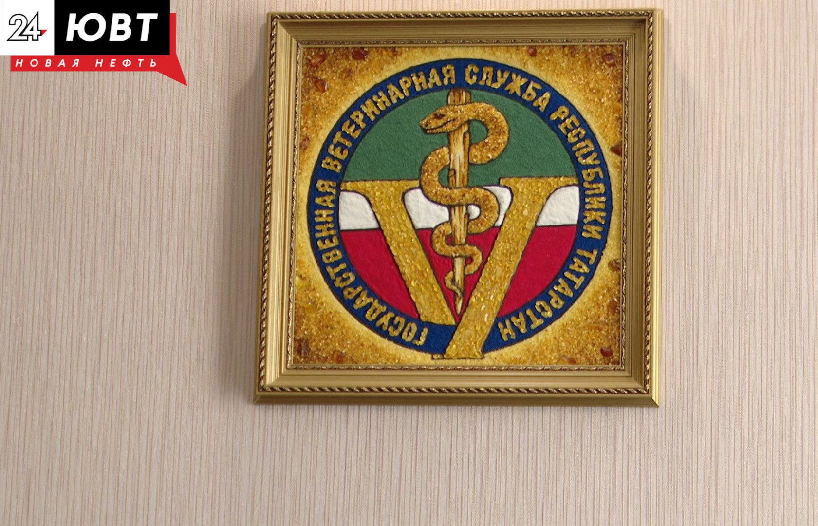 Альметьевцам напомнили о профилактике бешенства