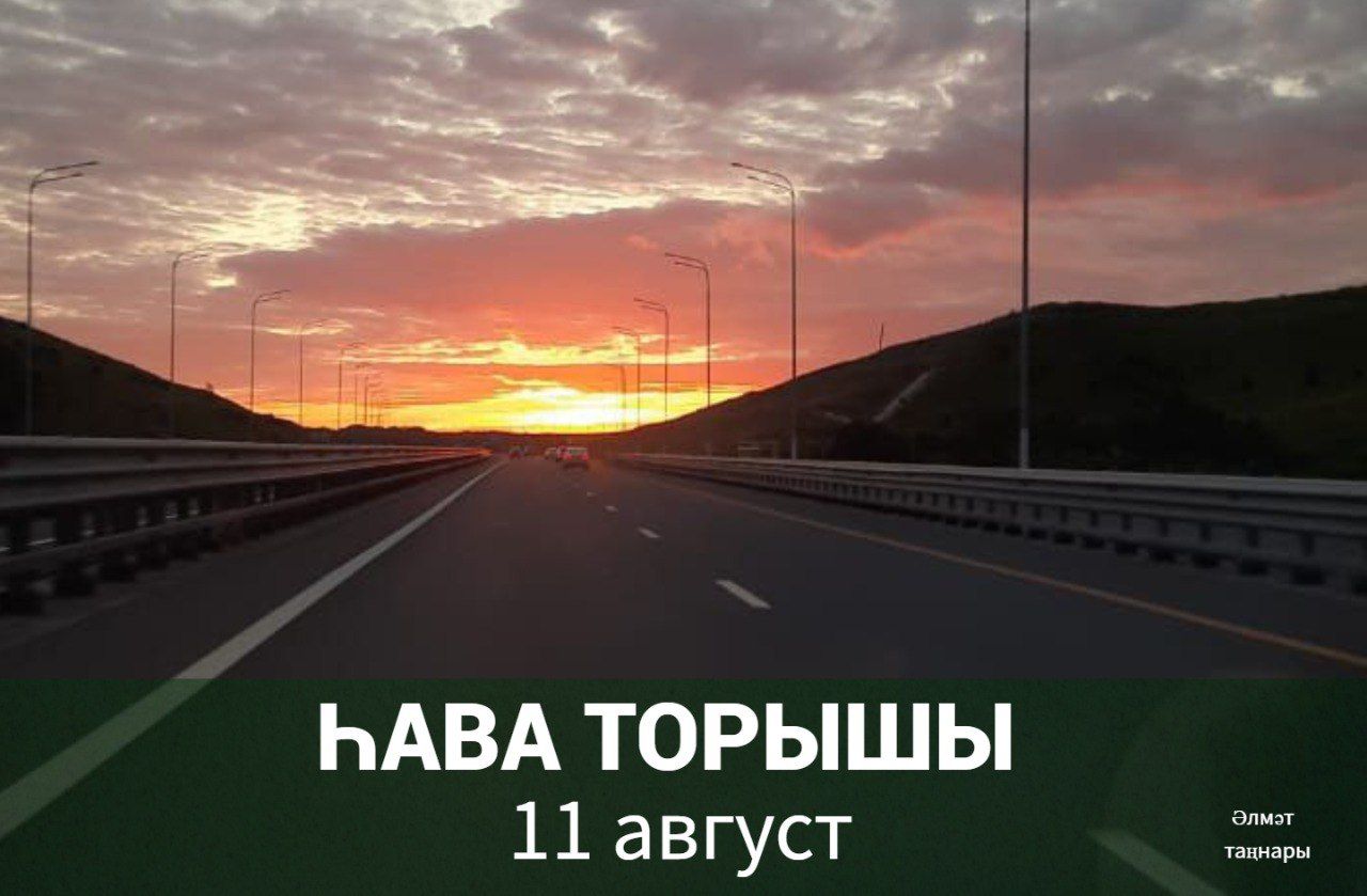 11 августка һава торышы
